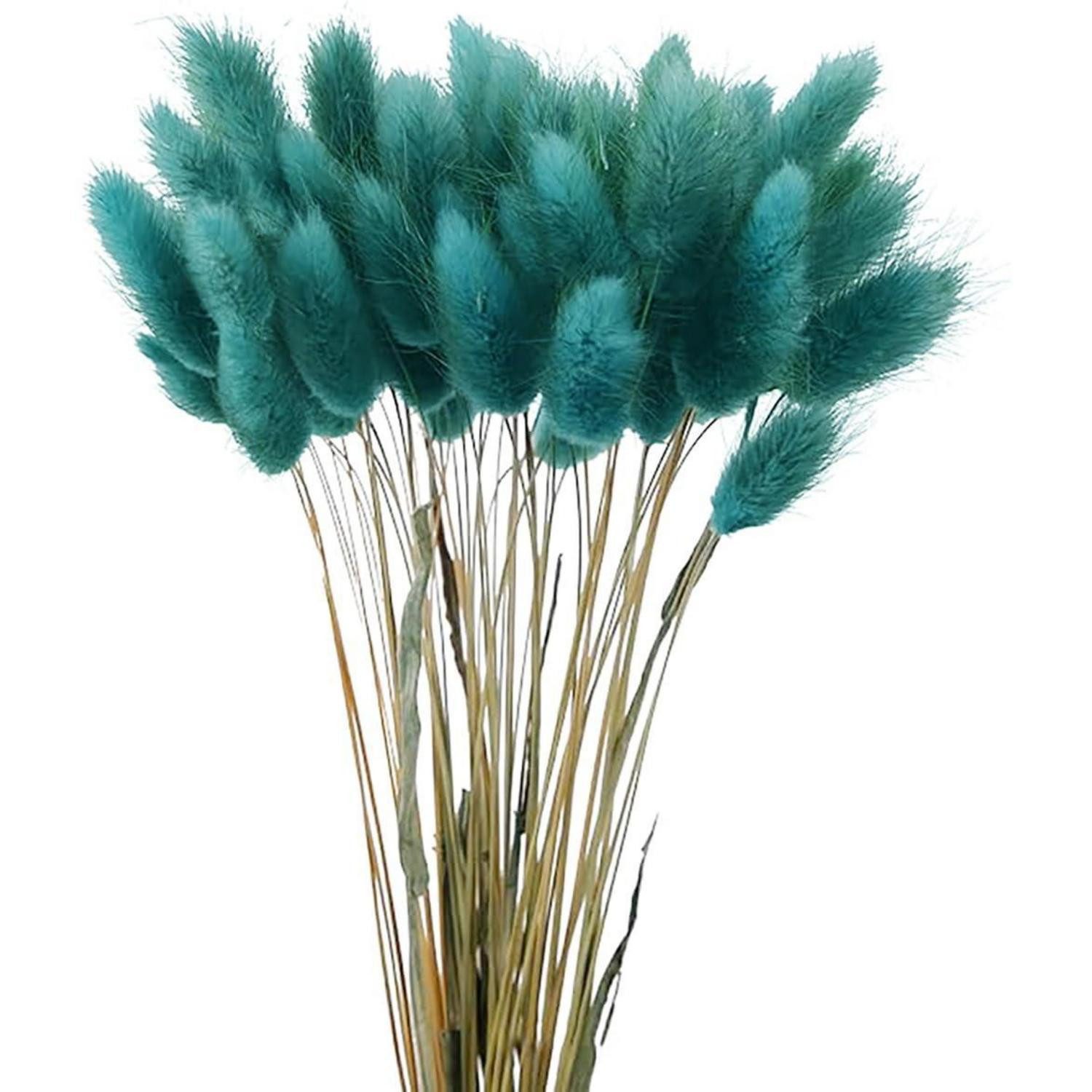 Trockenblume Trockenblumen Pampasgras Blau 60 Stück, LuxusKollektion, Höhe 10 cm