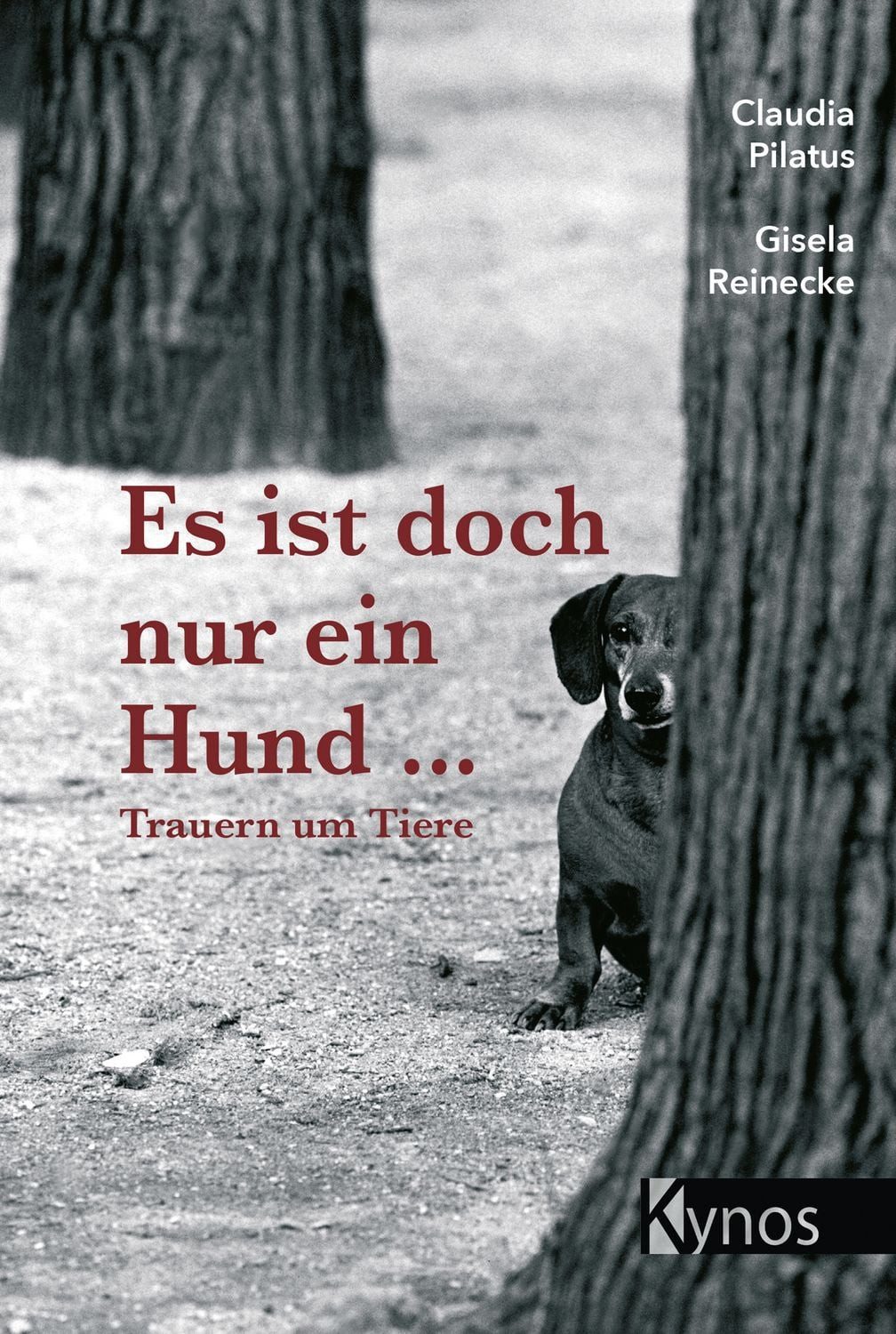 Sachbuch Es ist doch nur ein Hund... Trauern um Tiere Gisela Reinecke, Claudia Pilatus