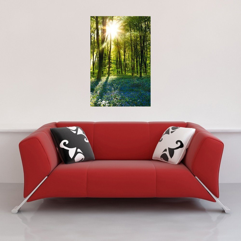 Poster Forests - Poster - Sunrise Bluebell Wood günstig online kaufen