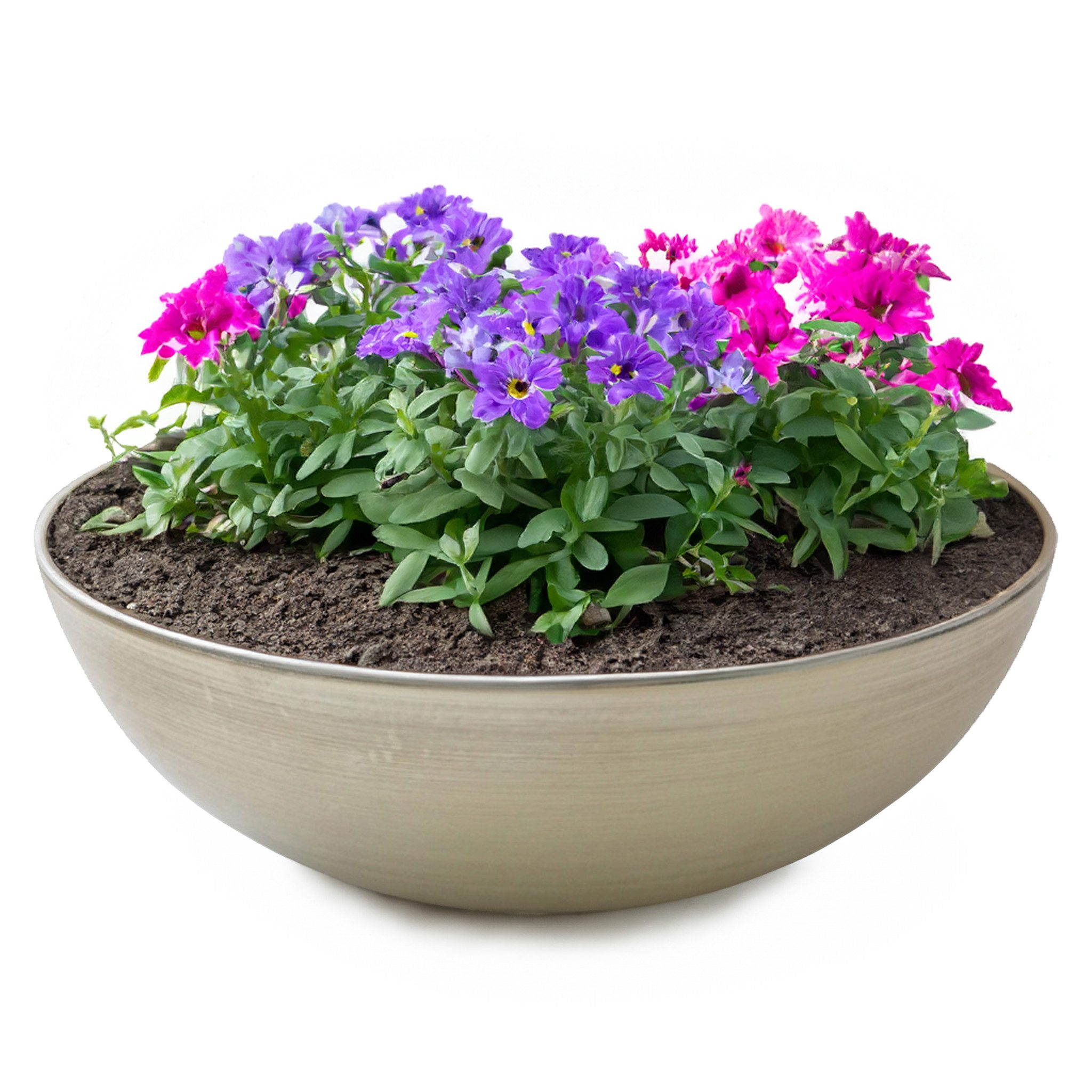 matches21 HOME & HOBBY Blumentopf Runde bauchige 25 cm Pflanzschale für draussen, champagner beige (1 St), Wetterfeste Blumen-Schale als moderne Gartendeko Grabschmuck