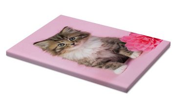 Posterlounge Leinwandbild Greg Cuddiford, Katze mit rosa Blume, Fotografie