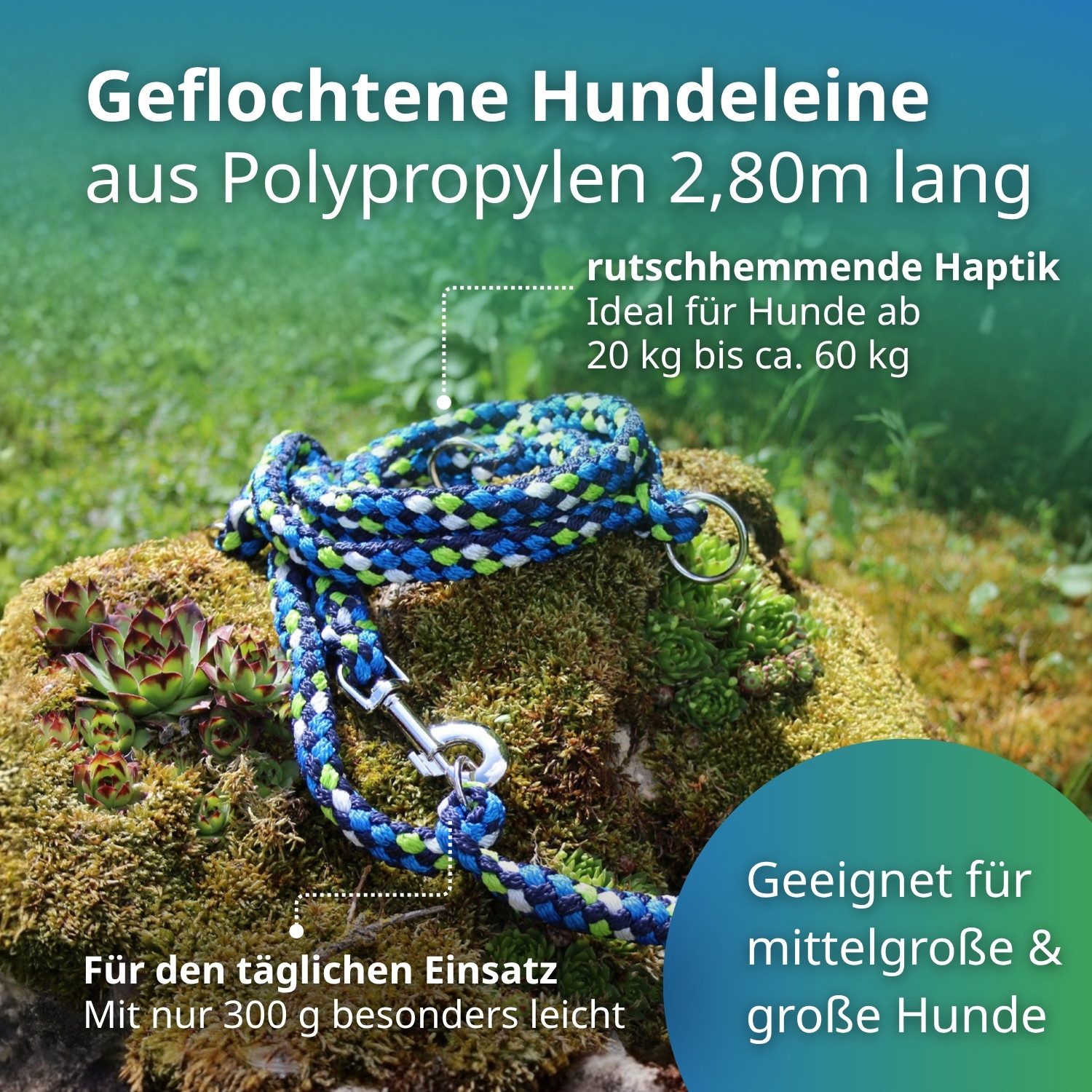 Activity4Dogs Hundeleine große Hunde bis 60 kg, mehrfarbig geflochten, 4-fach verstellbar, 3 m, auch als Doppelleine für 2 Hunde, Premium Qualität aus Deutschland