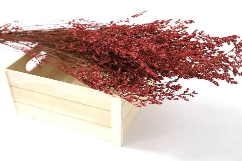 Trockenblume Getrocknete Gräser in vielen Farben - Rot, Kunstharz.Art