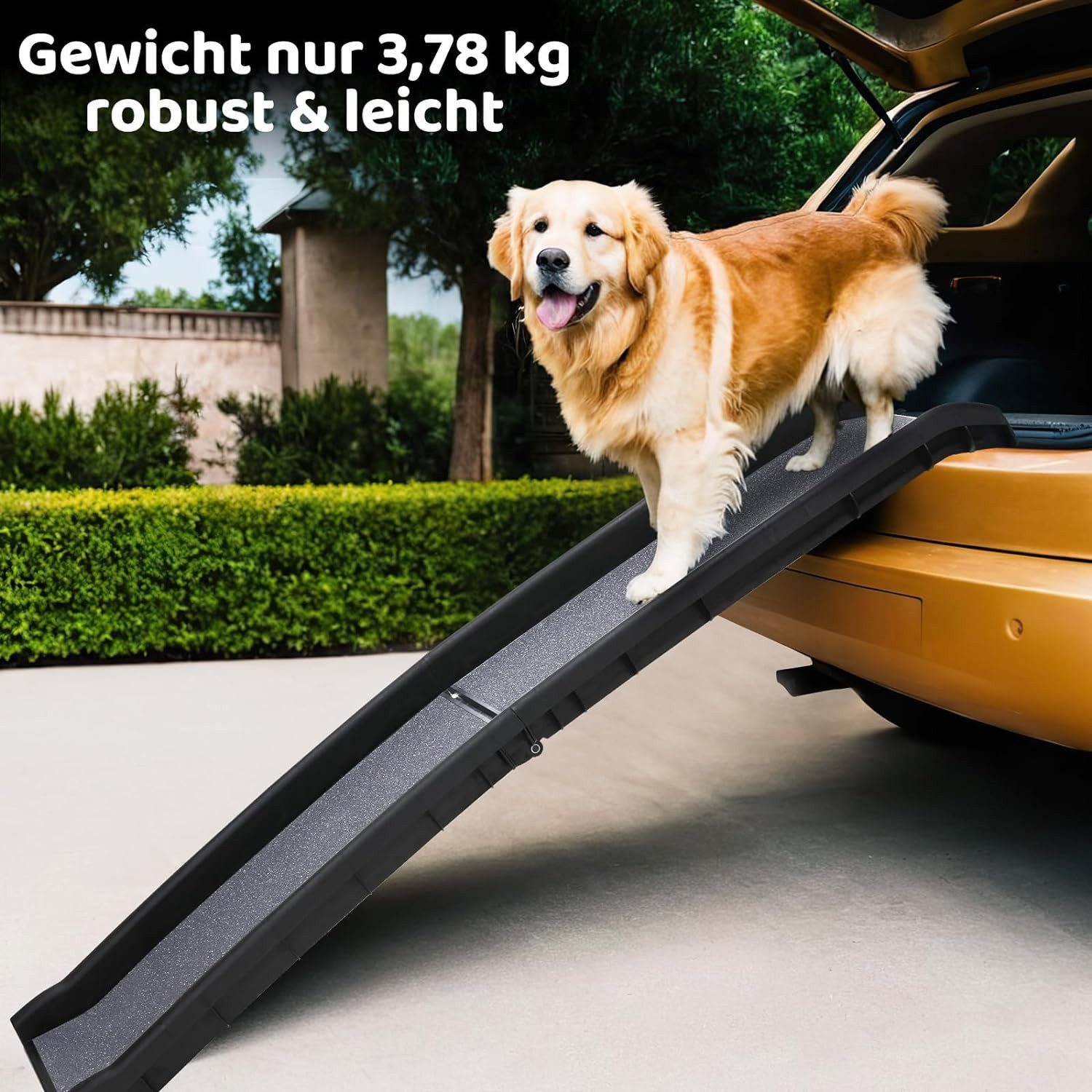 TLGREEN Hunderampe, Klappbar, Hundeautorampe Anti-Rutsch, bis 90 kg, 156x40 cm