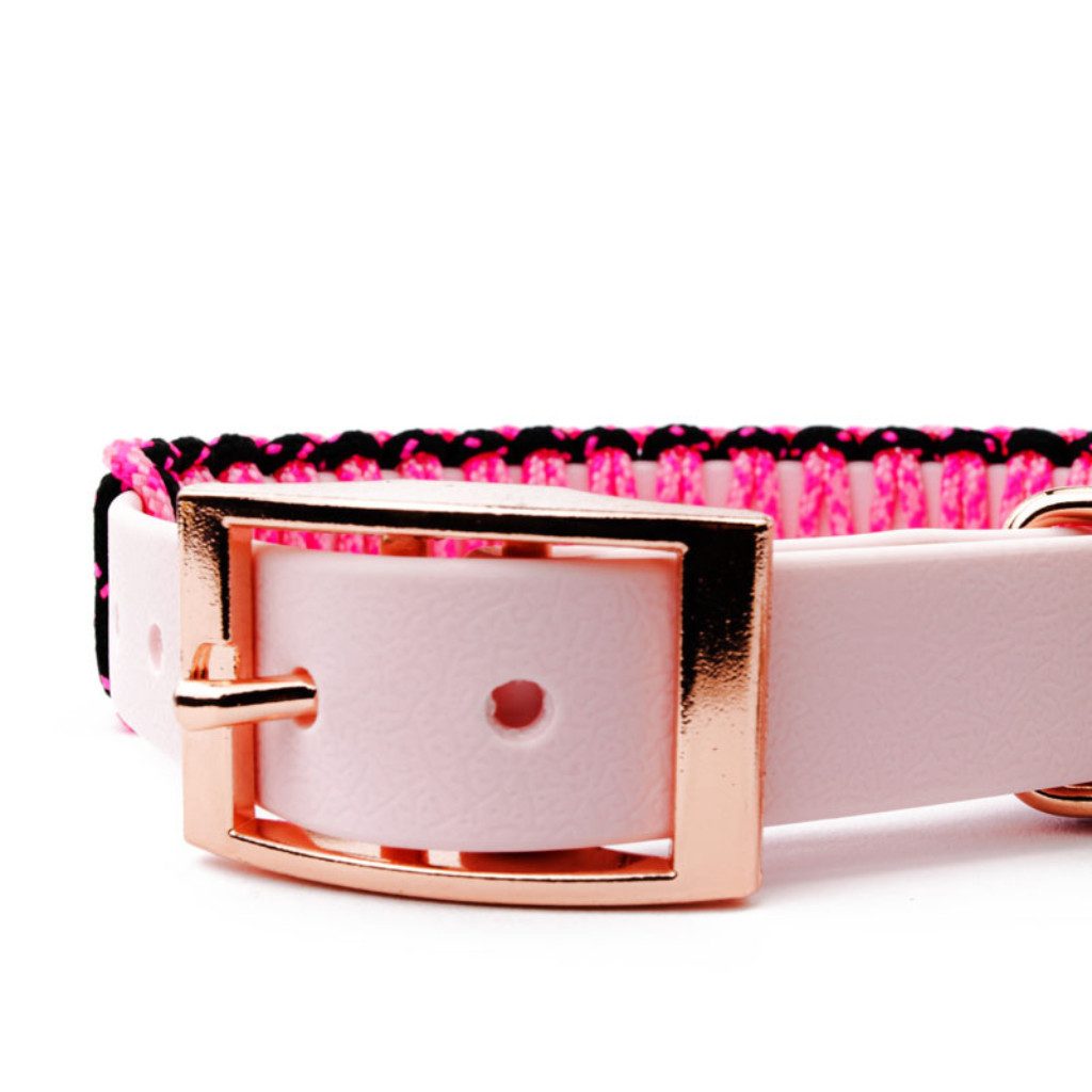 Tierluxe Hunde-Halsband Lori, Biothane Paracord, Handgemacht
