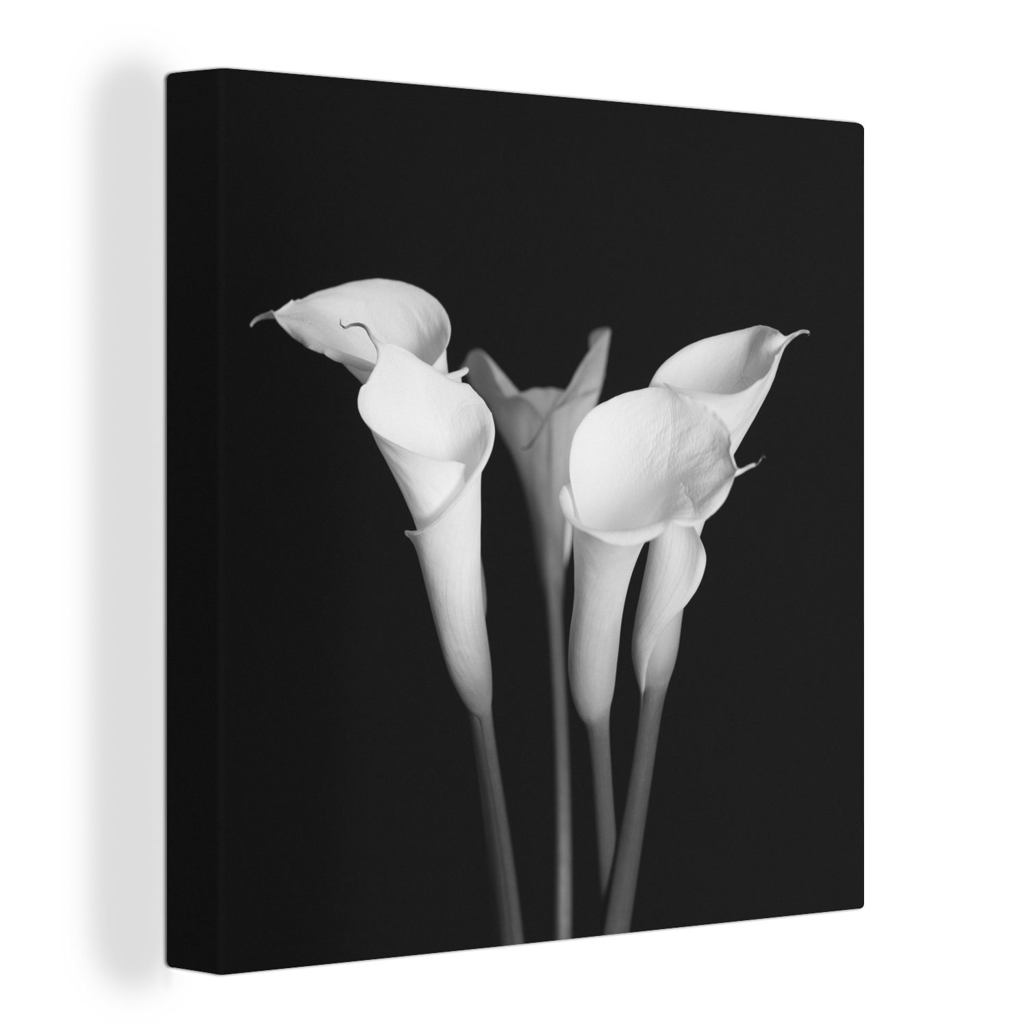 OneMillionCanvasses® Leinwandbild Eine Nahaufnahme von Calla-Lilien-Blüten auf schwarzem Hintergrund, (1 St), Leinwand Bilder für Wohnzimmer Schlafzimmer bunt