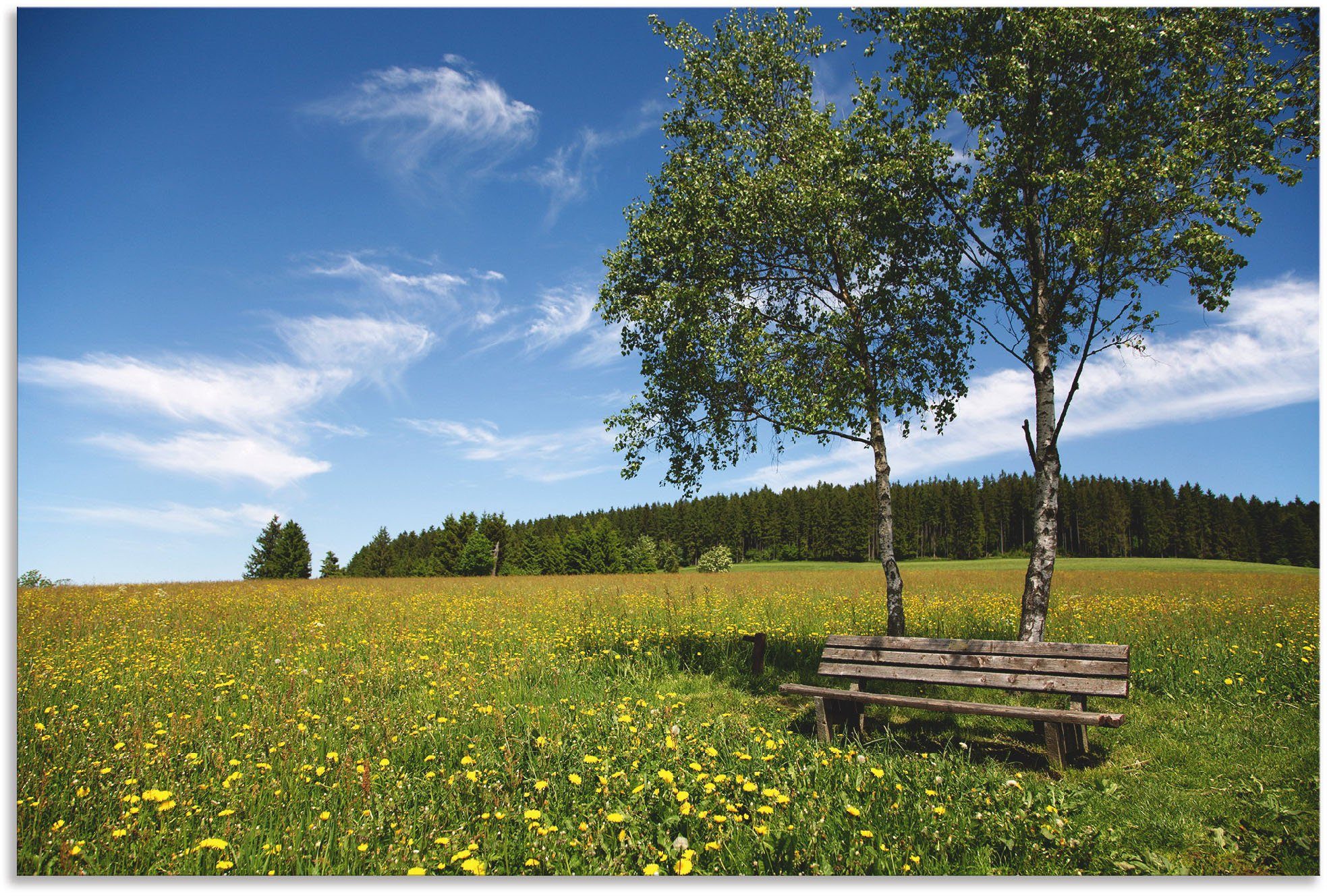 Artland Wandbild »Einsame Bank auf einer Löwenzahnwiese«, Felder (1 Stück), in vielen Größen & Produktarten - Alubild / Outdoorbild für den Außenbereich, Leinwandbild, Poster, Wandaufkleber / Wandtattoo auch für Badezimmer geeignet-Otto