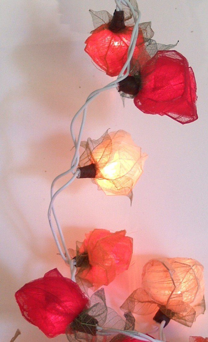 Guru-Shop LED-Lichterkette Blüten LED Lichterkette 20 Stk. - Rose..