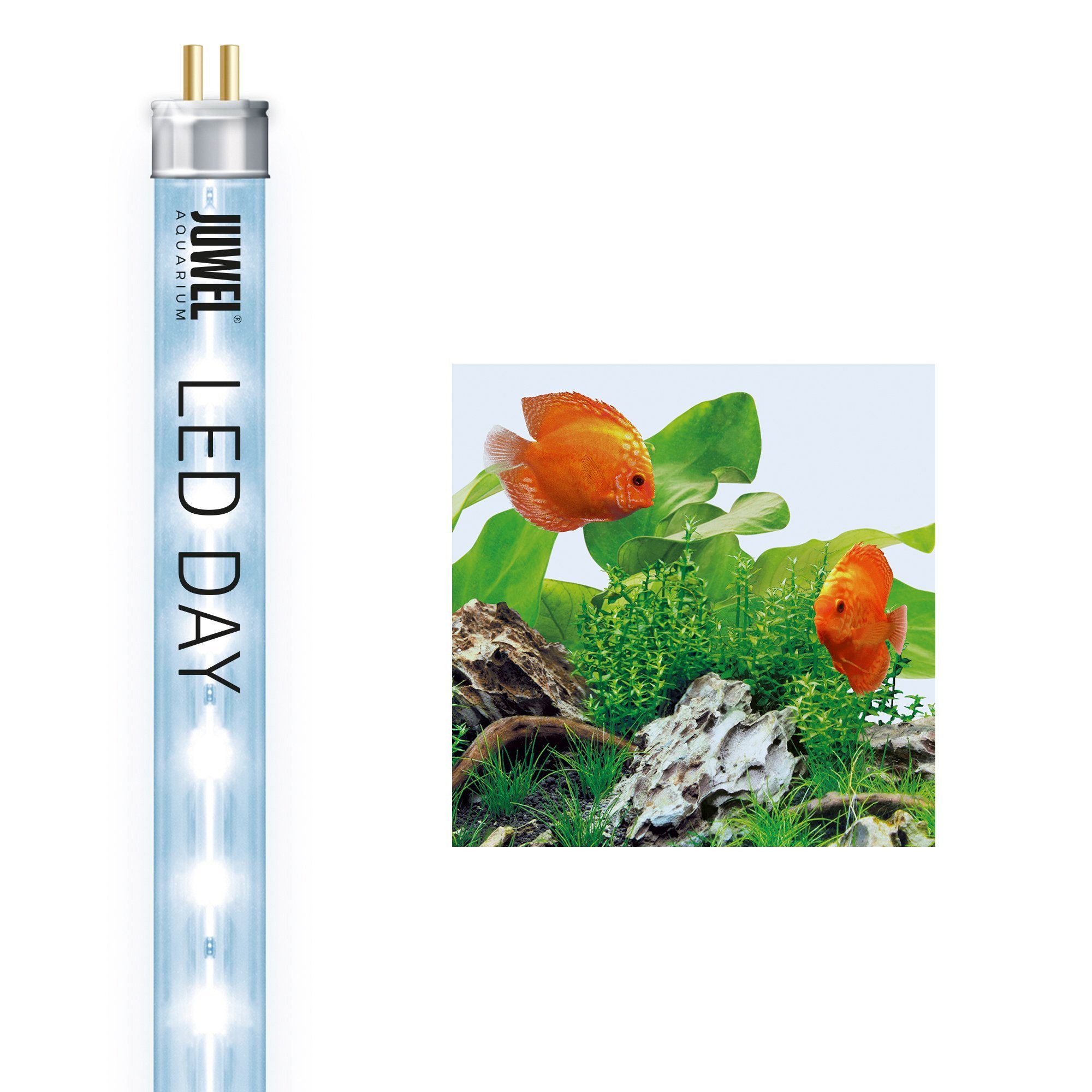 JUWEL AQUARIEN LED Aquariumleuchte »Day 9000K« OTTO