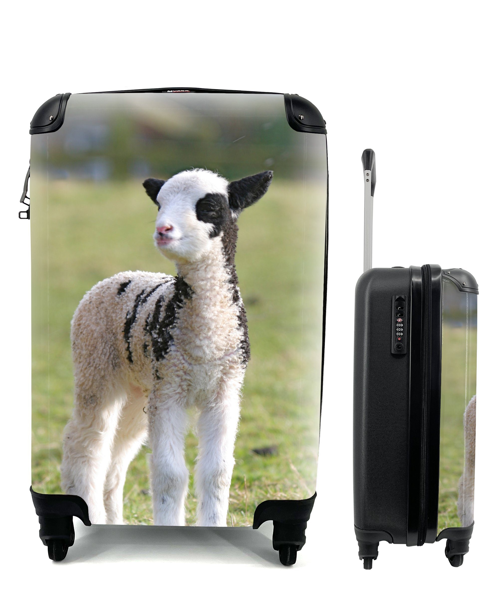 MuchoWow Ferien, für Handgepäck Reisekoffer Reisetasche Handgepäckkoffer rollen, mit im 4 weiß-schwarzes Rollen, Kleines Lämmchen Trolley, Gras,