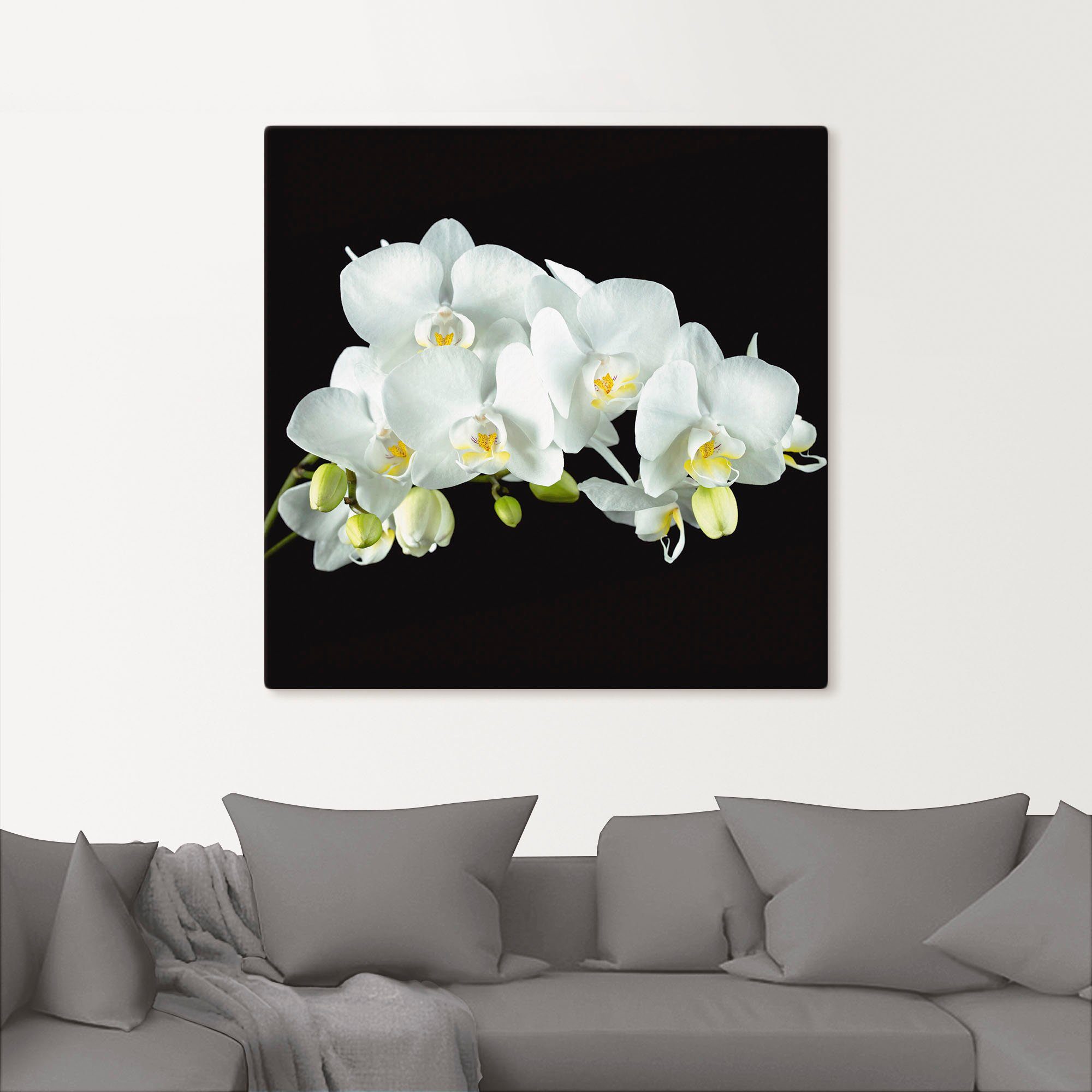 Artland Leinwandbild Weiße Orchidee auf schwarzem Hintergrund, Blumen (1 St), auf Holzrahmen gespannt