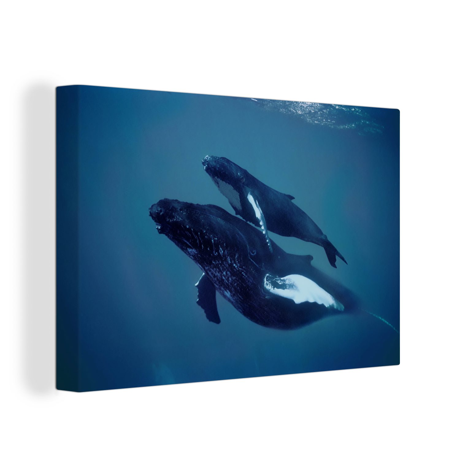 OneMillionCanvasses® Leinwandbild Ein Buckelwal und sein Kalb im Meer, (1 St), Wandbild Leinwandbilder, Aufhängefertig, Wanddeko, 30x20 cm
