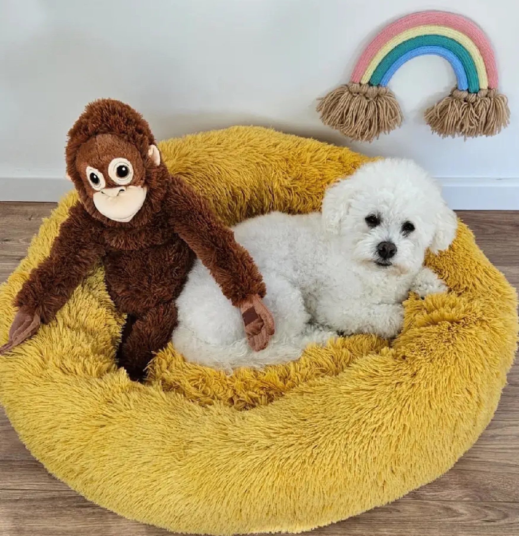 Pamek Hundekorb küscheliges Tierbett Hunde-Himmel Plüsch günstig online kaufen