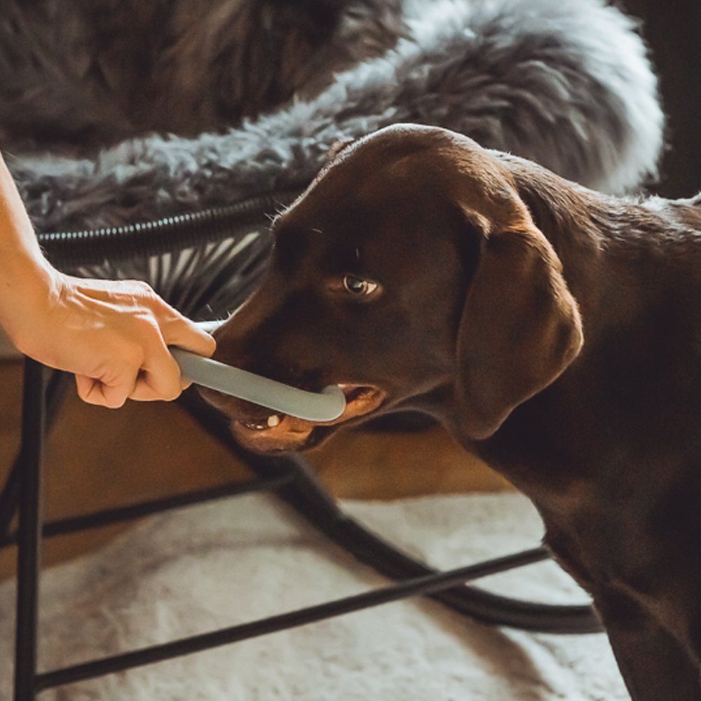 Hey Lana Outdoor-Spielzeug Hundespielzeug - Naturkautschuk günstig online kaufen