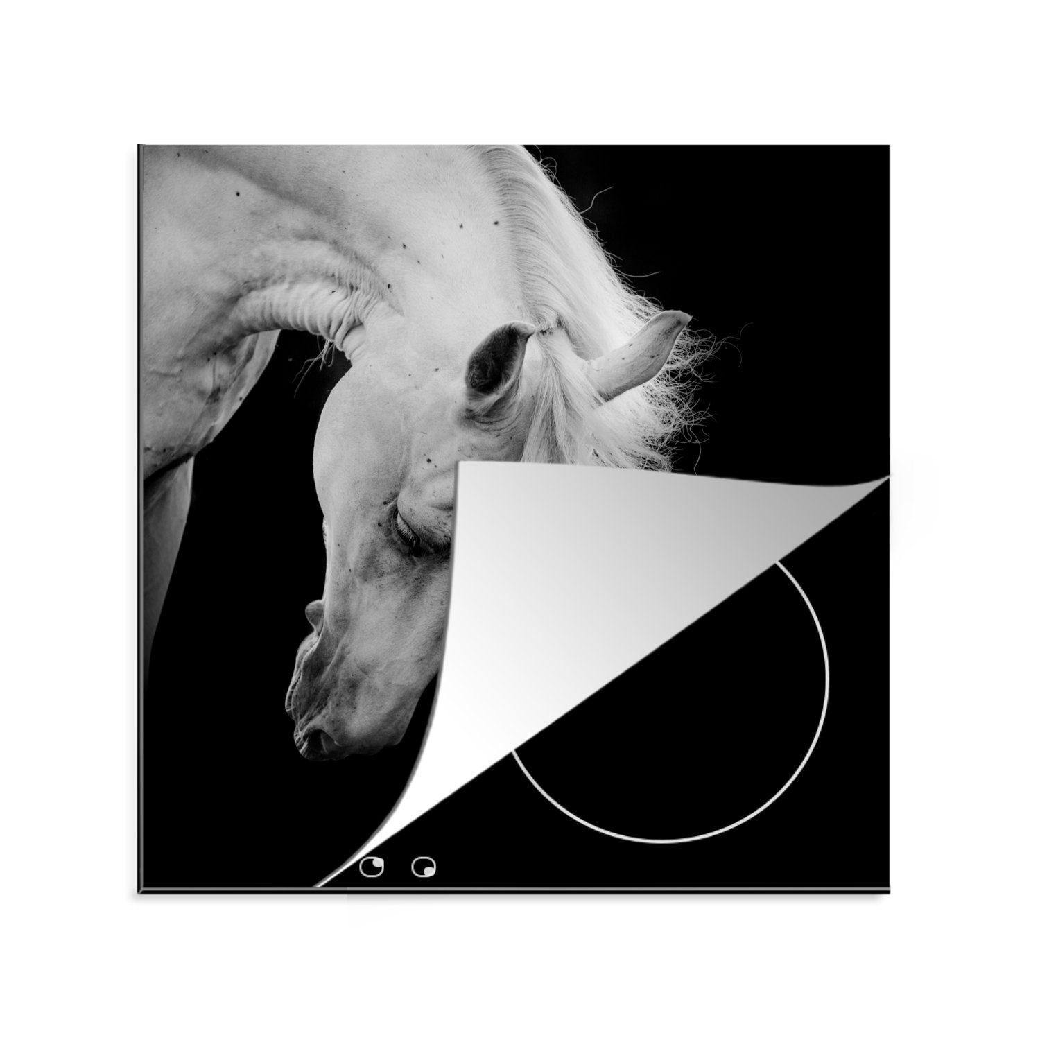 MuchoWow Herdblende-/Abdeckplatte Pferd - Weiß - Schwarz, Vinyl, (1 tlg), 78x78 cm, Ceranfeldabdeckung, Arbeitsplatte für küche