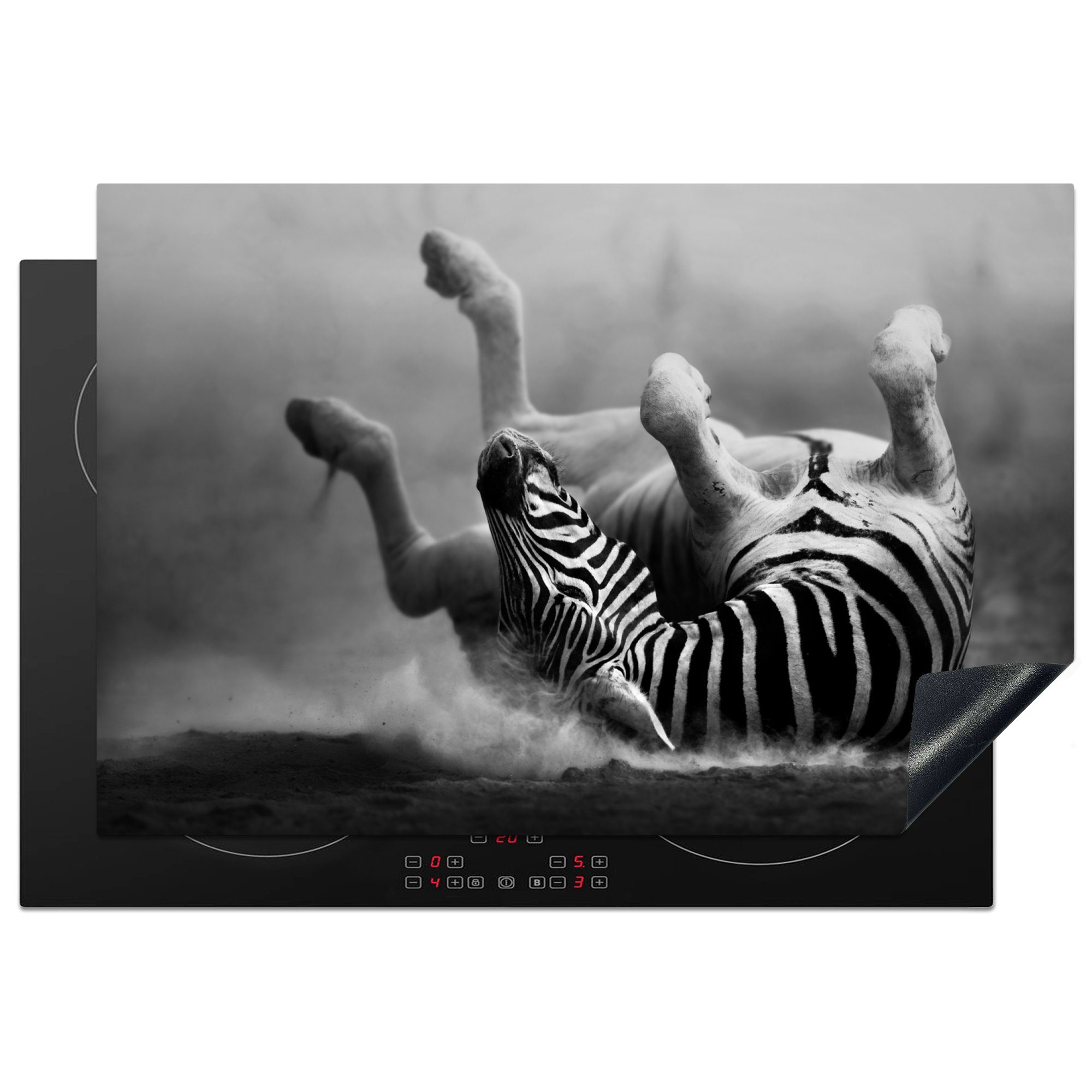MuchoWow Herdblende-/Abdeckplatte Zebra - Tiere - Schwarz - Weiß, Vinyl, (1 tlg), 77x51 cm, Ceranfeldabdeckung, Arbeitsplatte für küche