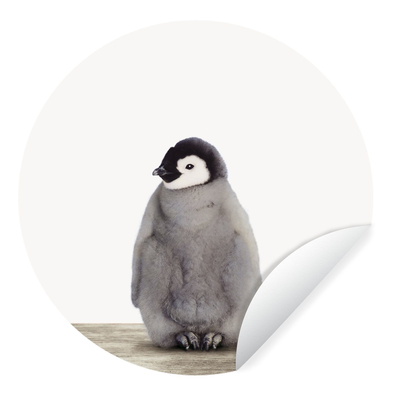MuchoWow Wandsticker Pinguin - Tiere - Baby (1 St), Tapetenkreis für Kinderzimmer, Tapetenaufkleber, Rund, Wohnzimmer