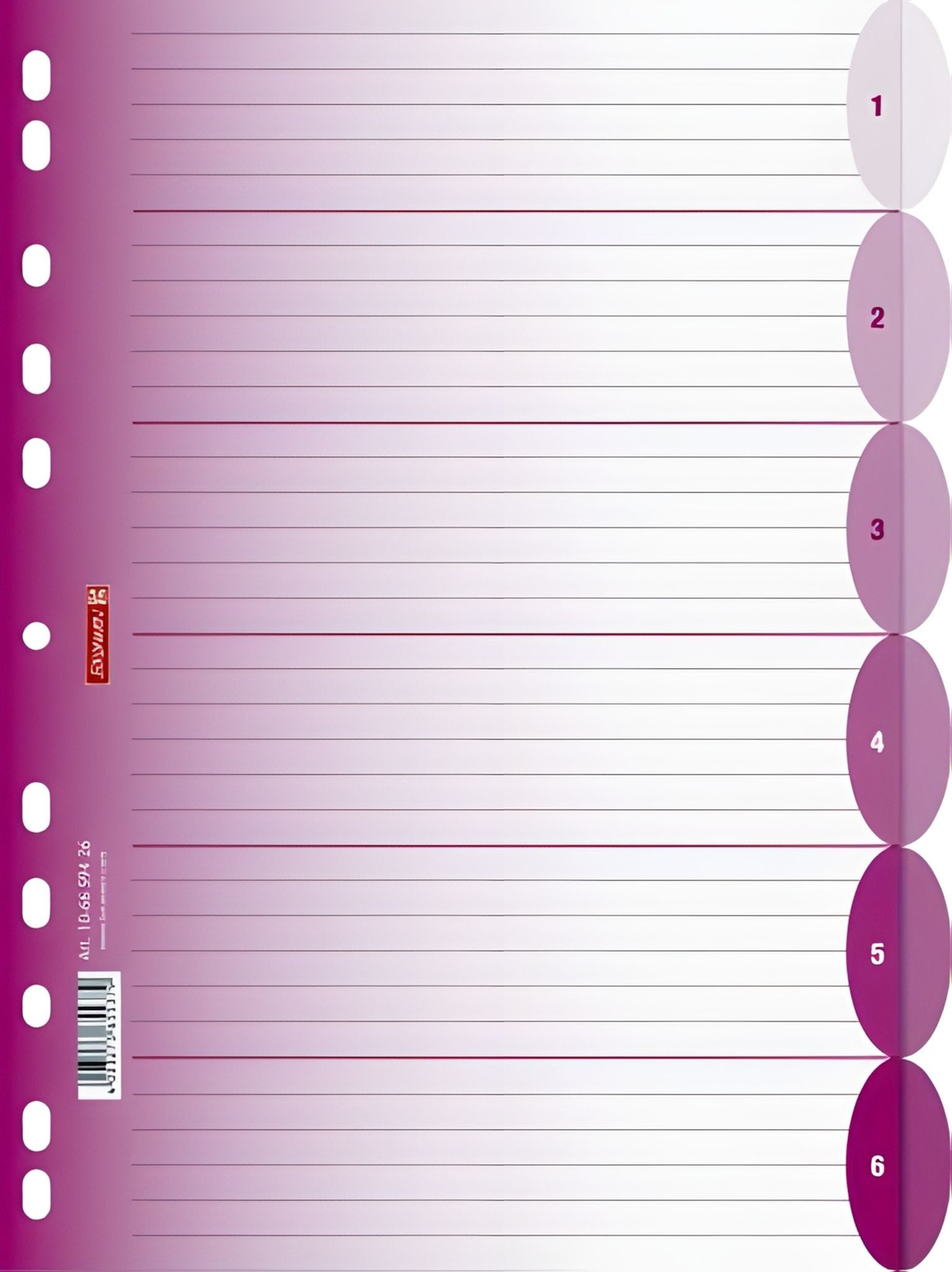 BRUNNEN Aktenordner BRUNNEN Ringbuchregister A4 6teilig pink 106659426