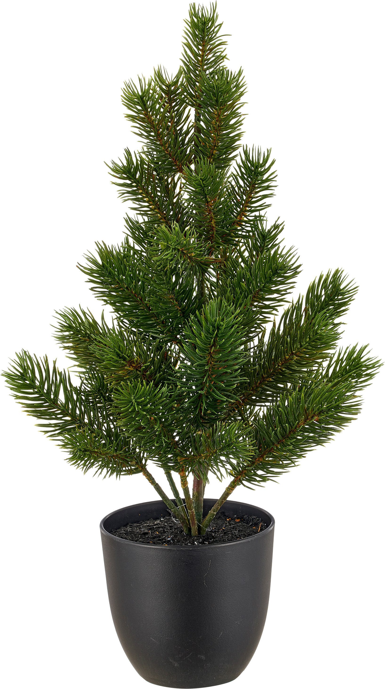 Winterliche Kunstpflanze Set aus Weihnachtsstern und Tannenbäumchen, im Übertopf, OTTO home, Höhe 43 cm, in naturgetreuer Ausführung – Bild 3 von 5