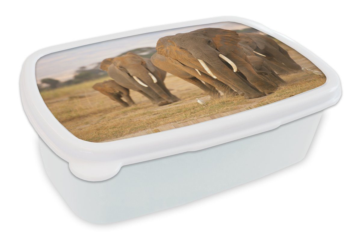 MuchoWow Lunchbox Familie der Elefanten, Kunststoff, (2-tlg), Brotbox für Kinder und Erwachsene, Brotdose, für Jungs und Mädchen weiß