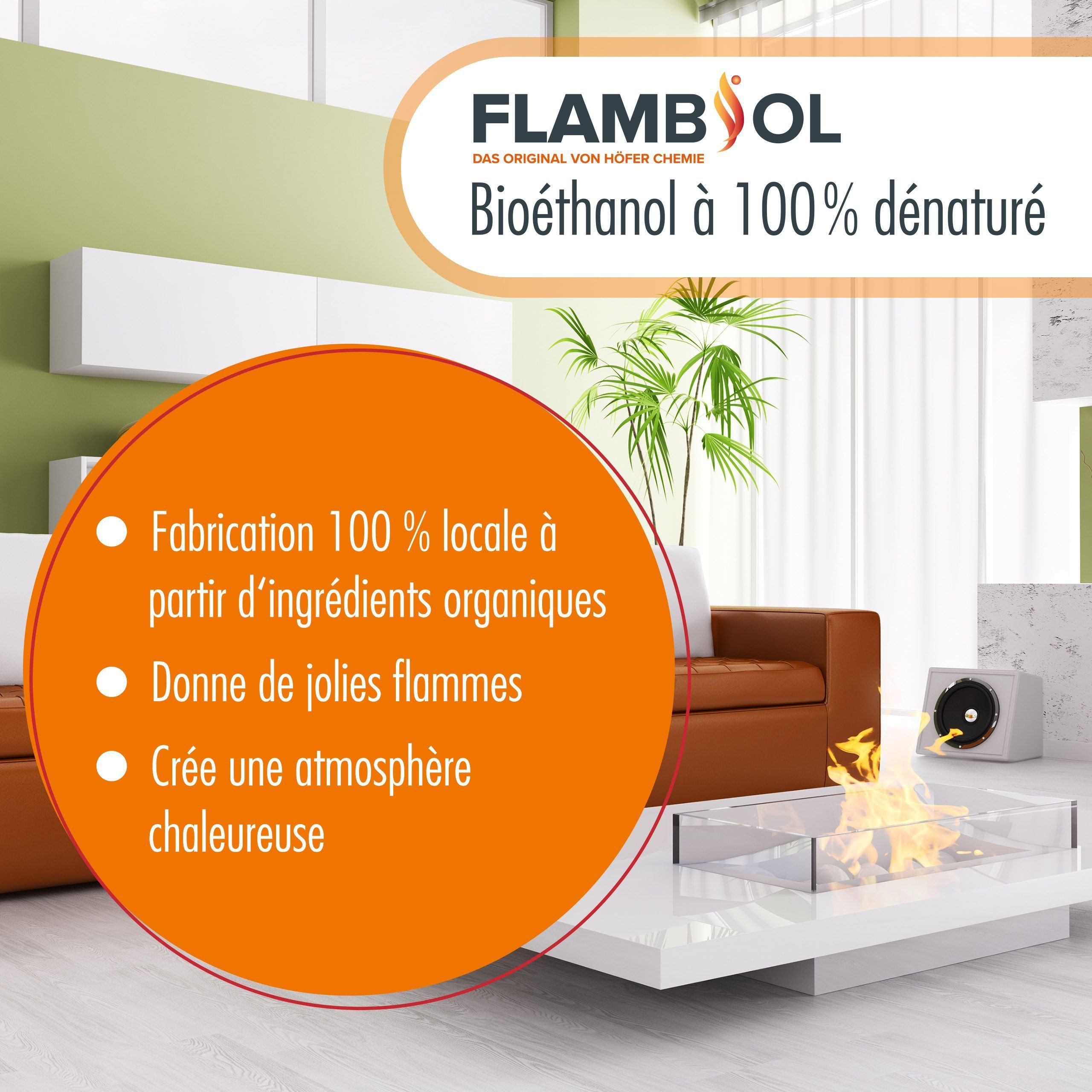 Höfer Chemie GmbH Bioethanol 20 L FLAMBIOL® Bioethanol 96,6% Premium für Ethanolkamin in Kanistern, 20 l, (1-St), Sauberer Brennstoff für Kamine und Feuerstelle – Bild 3 von 5