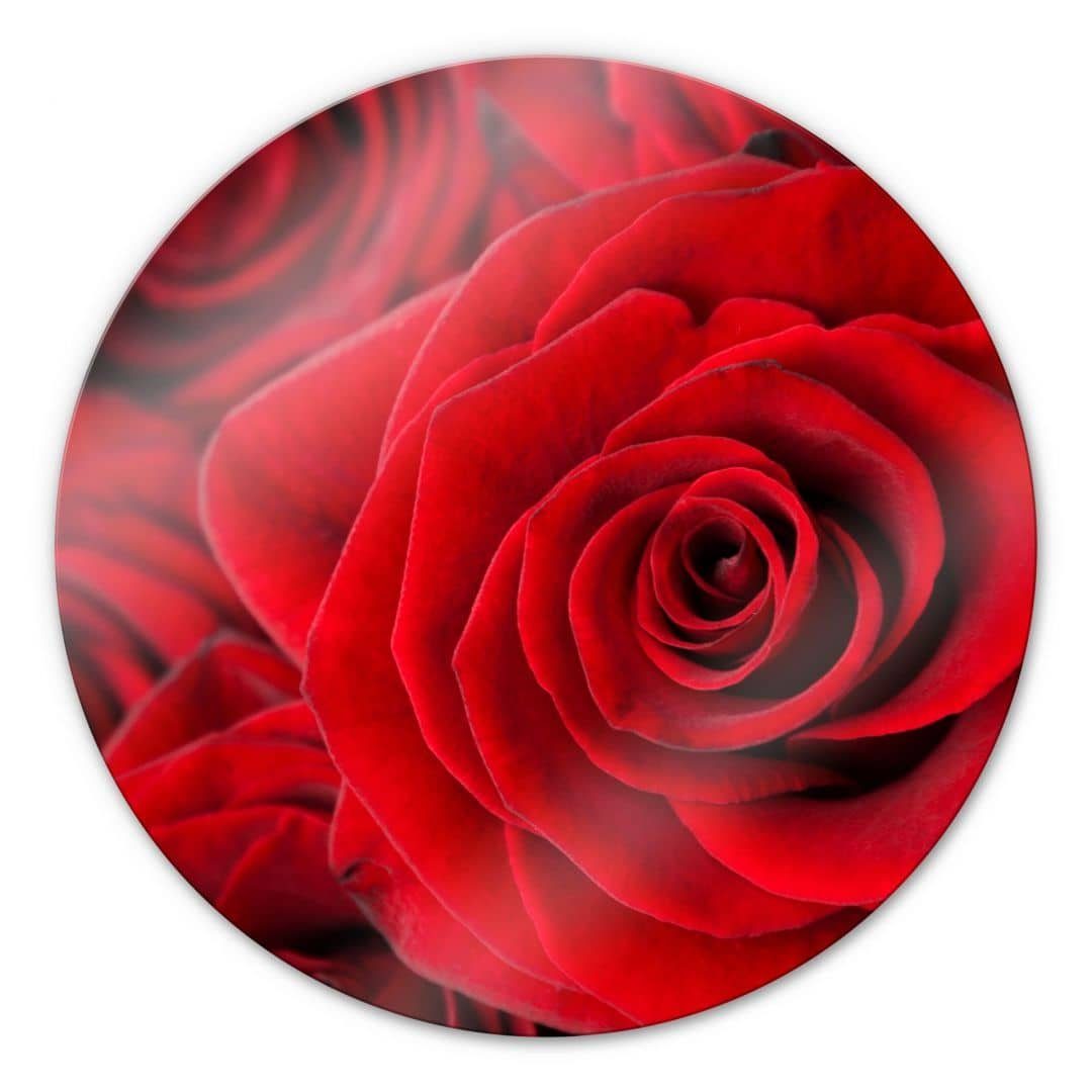 K&L Wall Art Glasbild Glas Wandbild Rund Glasbild romantische Rose Fotografie floral, Wandschutz Deko Bilder