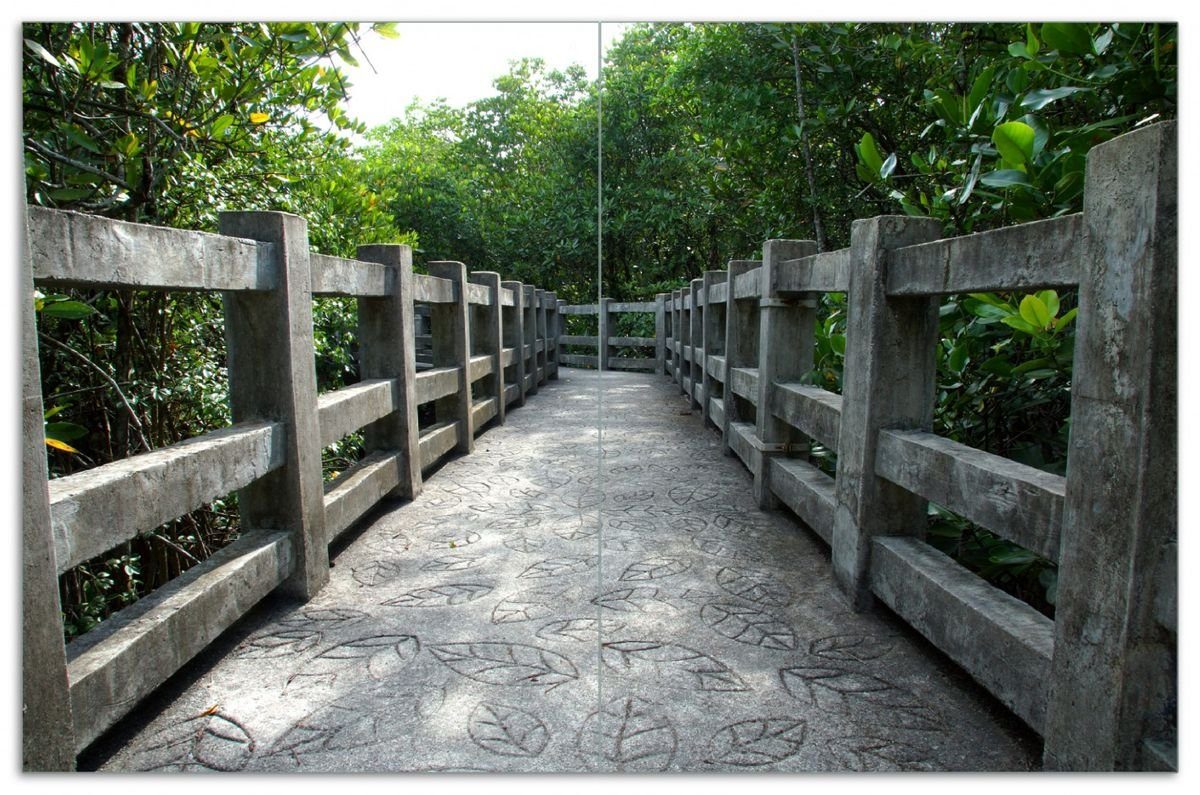 Wallario Herd-Abdeckplatte Weg durch die Mangroven in Thailand, ESG-Sicherheitsglas, (Glasplatte, 2 tlg., inkl. 5mm Noppen), verschiedene Größen | Herdabdeckplatten