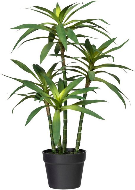 Künstliche Zimmerpflanze »Dracaena fragans« Dracaena fragans, Creativ green, Höhe 65 cm-Otto