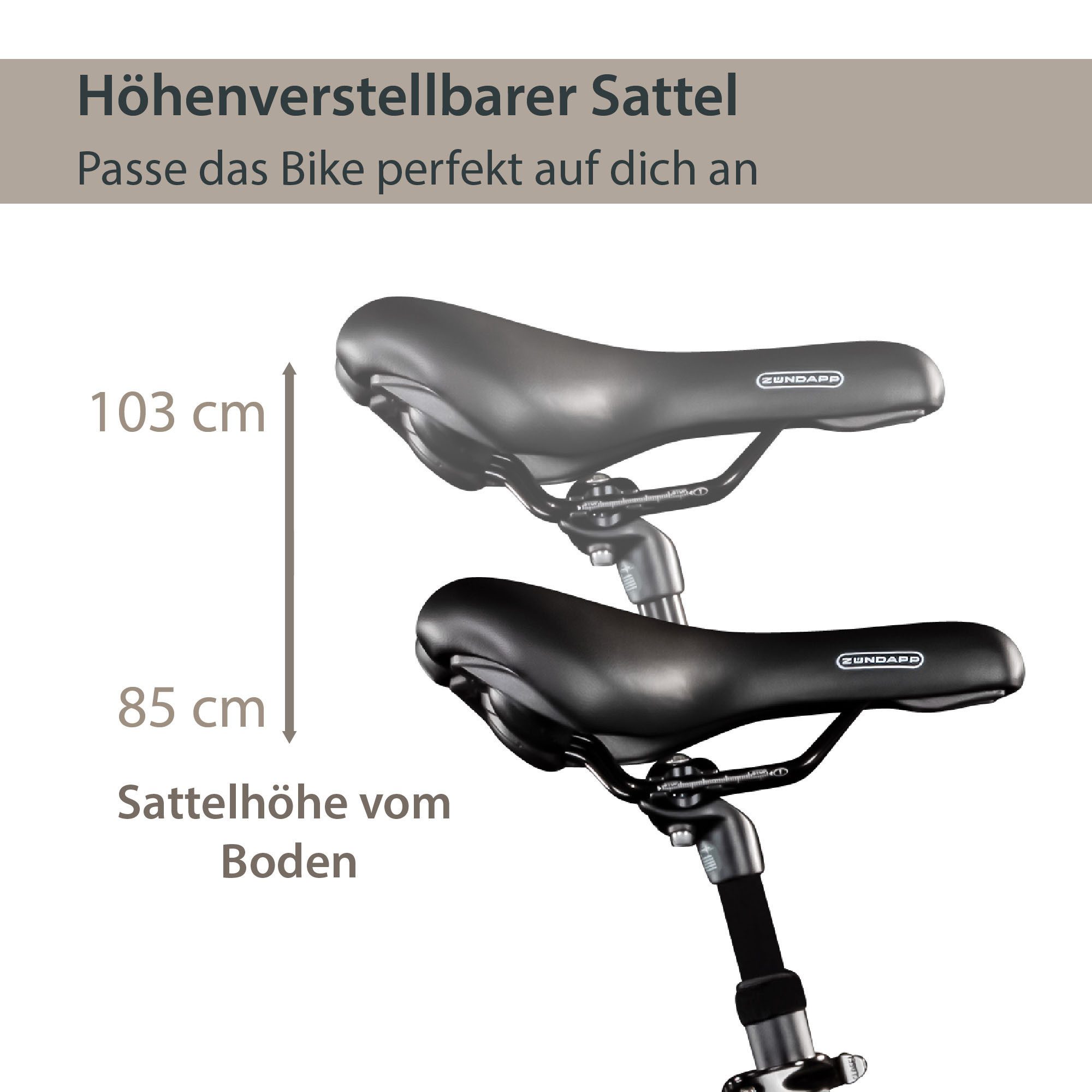 AGON E-Bike Cityrad Aurora, 3 Gang, Nabenschaltung, Frontmotor, 374 Wh, Pedelec, Elektrofahrrad für Damen u. Herren