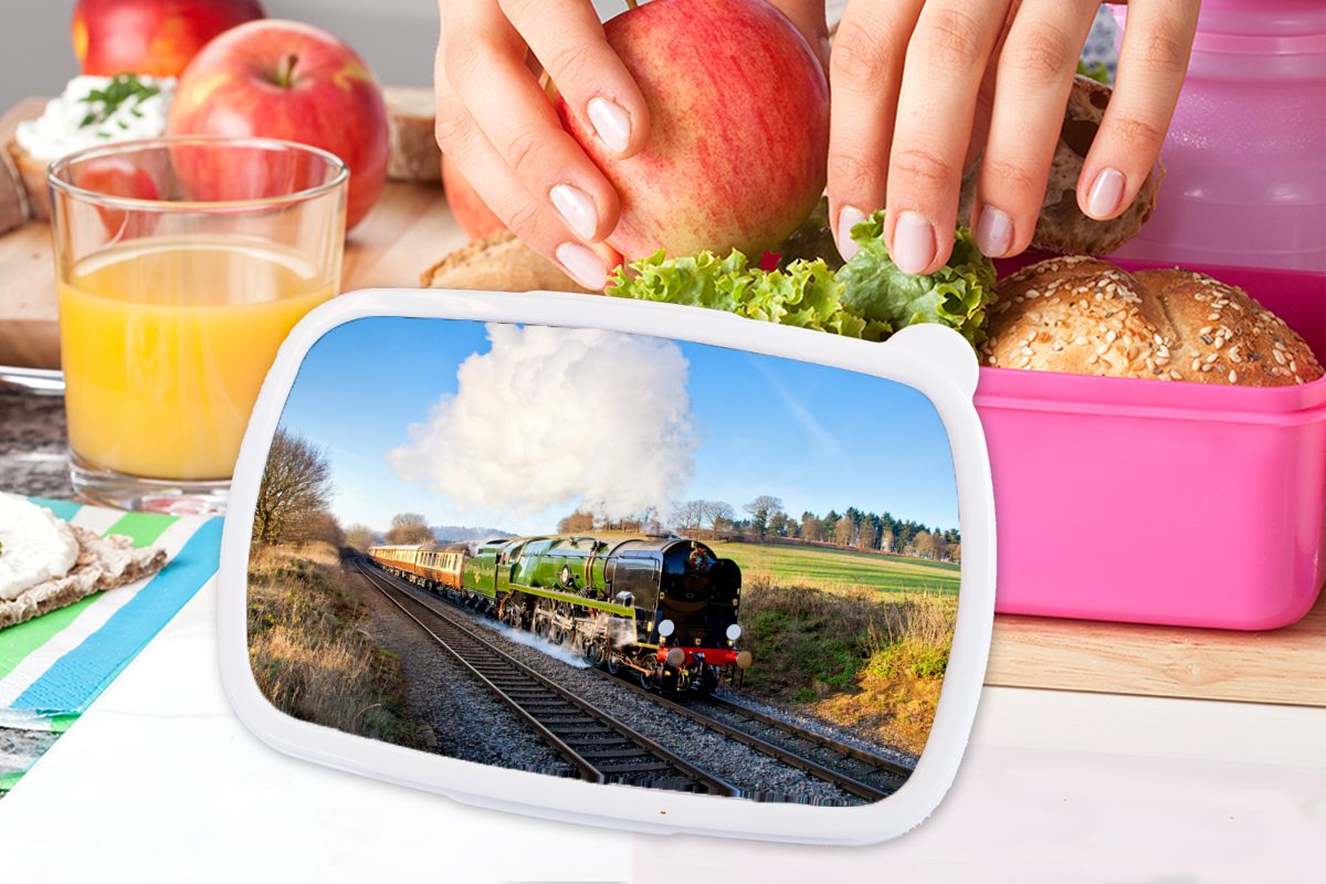 grünen Erwachsene, Kunststoff in für einer rosa Snackbox, MuchoWow Kinder, Brotbox Mädchen, Lunchbox Landschaft, Ein Brotdose bunter (2-tlg), Dampfzug Kunststoff,