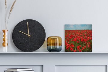 OneMillionCanvasses® Leinwandbild Eine Wiese voller Mohnblumen, (1 St), Leinwand Bilder für Wohnzimmer Schlafzimmer