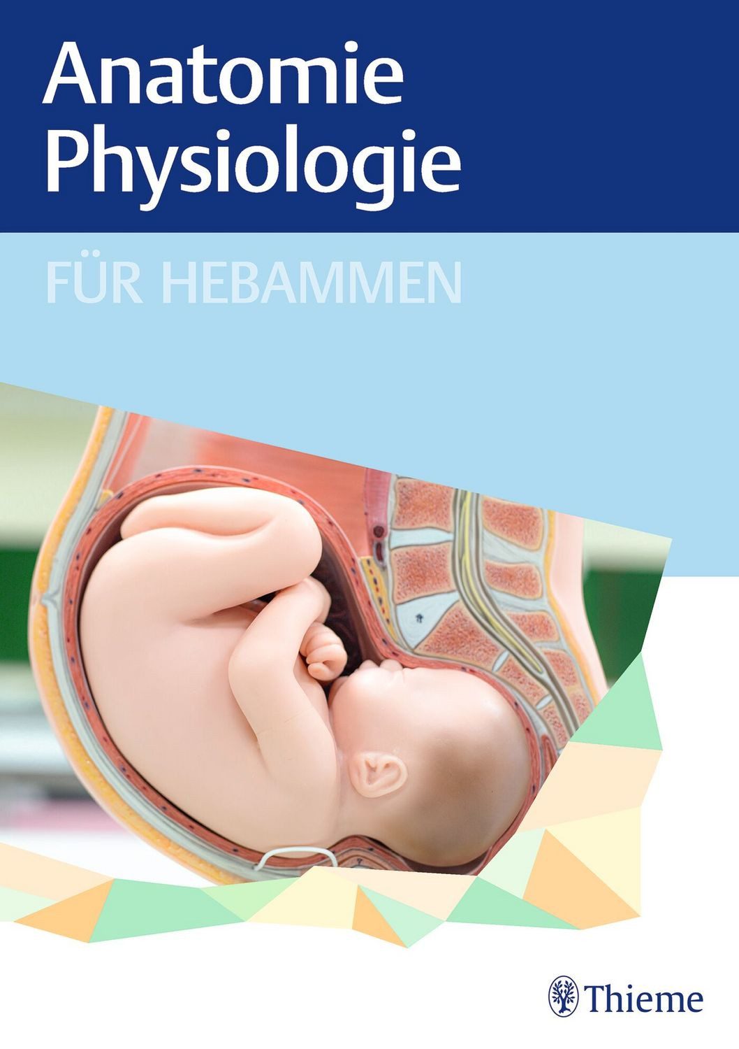 Sachbuch Anatomie und Physiologie für Hebammen diverse