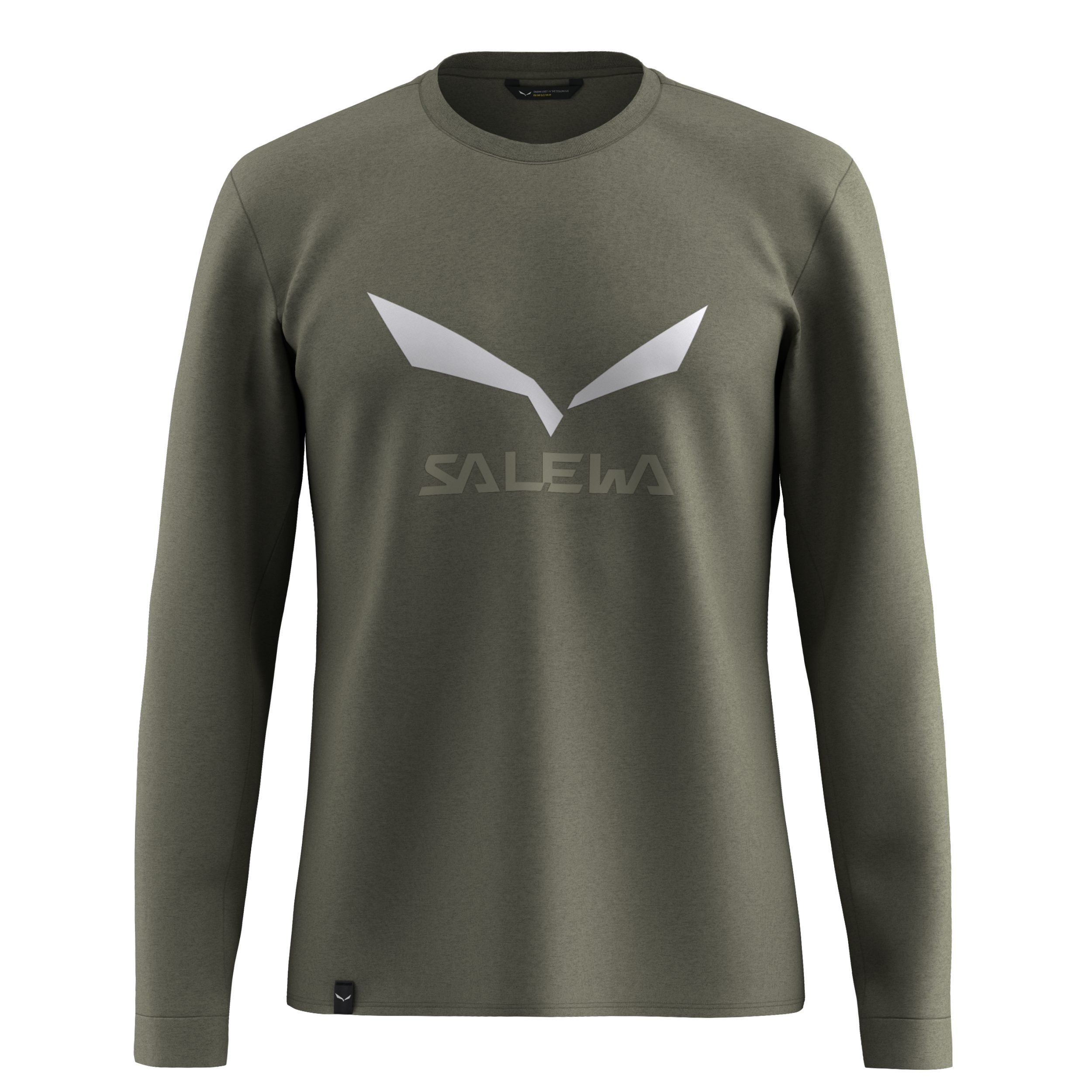 Salewa T-Shirt SOLIDLOGO DRY M L/S TEE. FADED GREEN