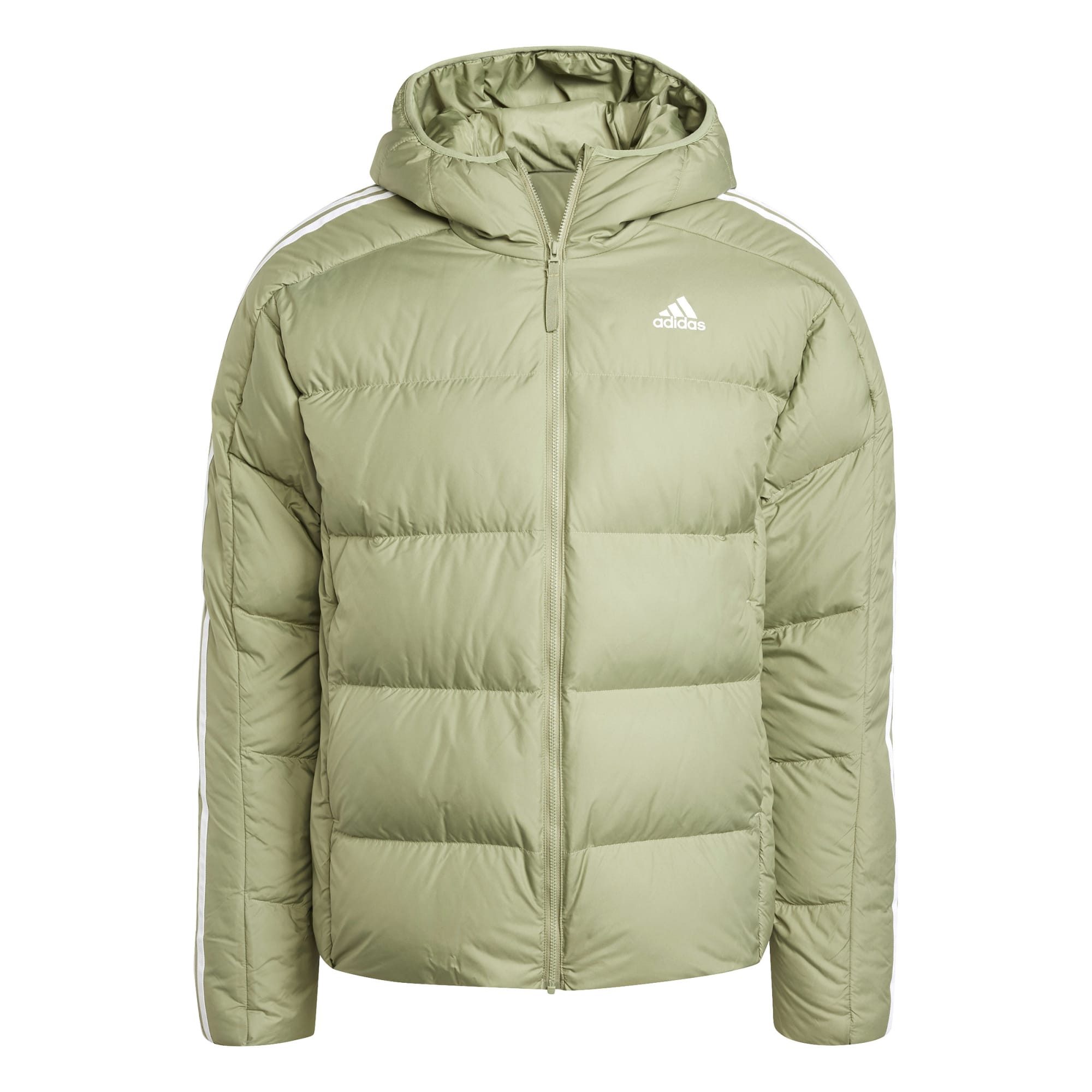 Daunenjacke adidas Herren Daunenjacke Essentials Midweight Hd Down Jacket