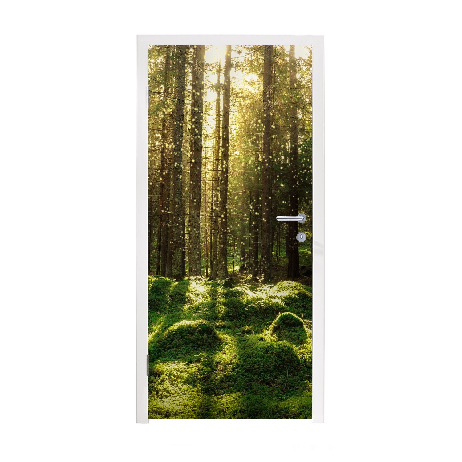 MuchoWow Türtapete Bäume - Wald - Moos - Pflanzen - Sonne - Natur, Matt, bedruckt, (1 St), Fototapete für Tür, Türaufkleber, 75x205 cm