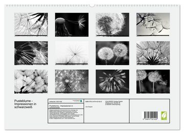 CALVENDO Wandkalender Pusteblume - Impressionen in schwarzweiß (Premium, hochwertiger DIN A2 Wandkalender 2023, Kunstdruck in Hochglanz)
