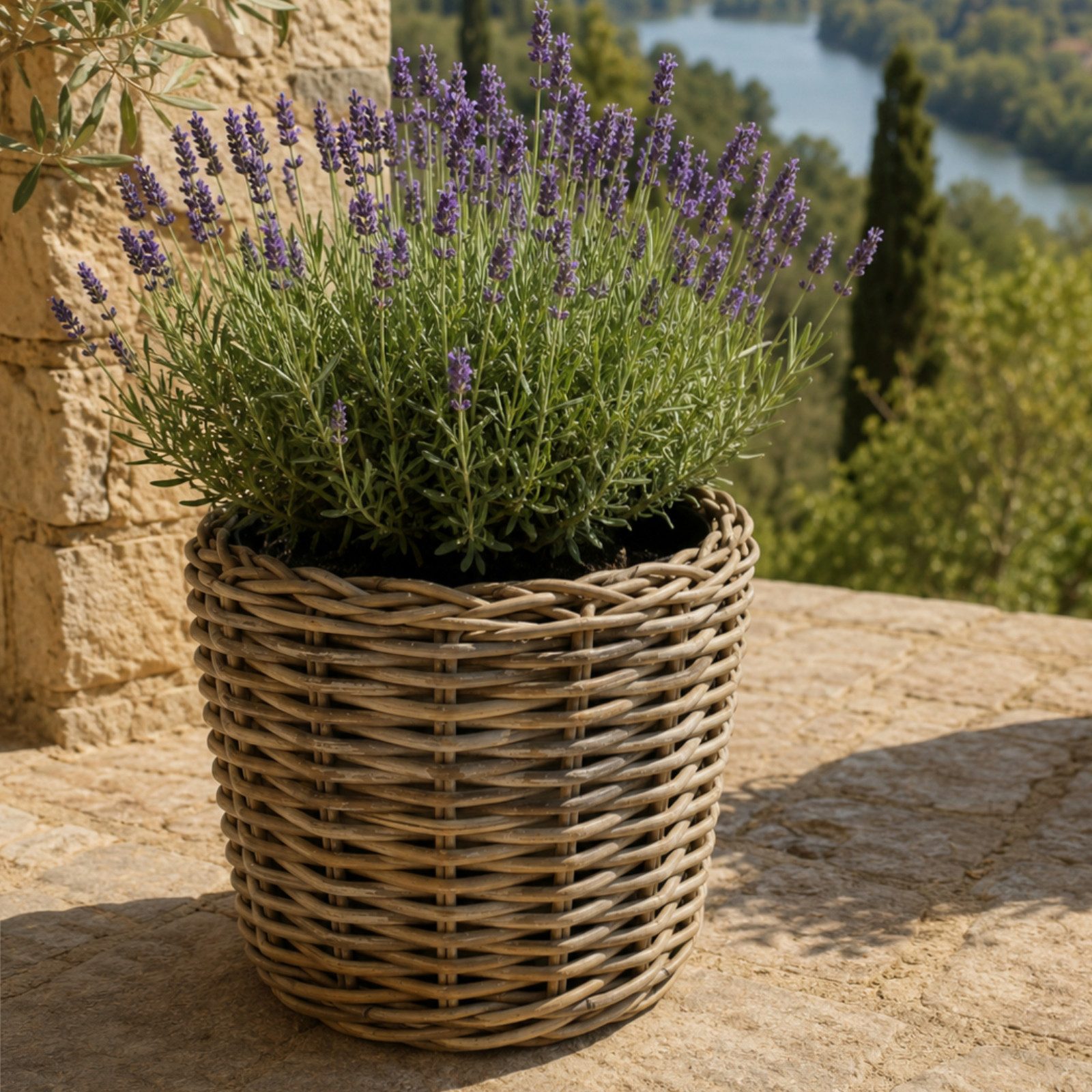 Van der Leeden Blumentopf 34x30cm Rattan Weide Sylter Korb Drypot 11L (Stück, 1 St., Packung), Indoor & Outdoor, Rattan, 11 L, Naturprodukt, incl. Kunststoffeimer