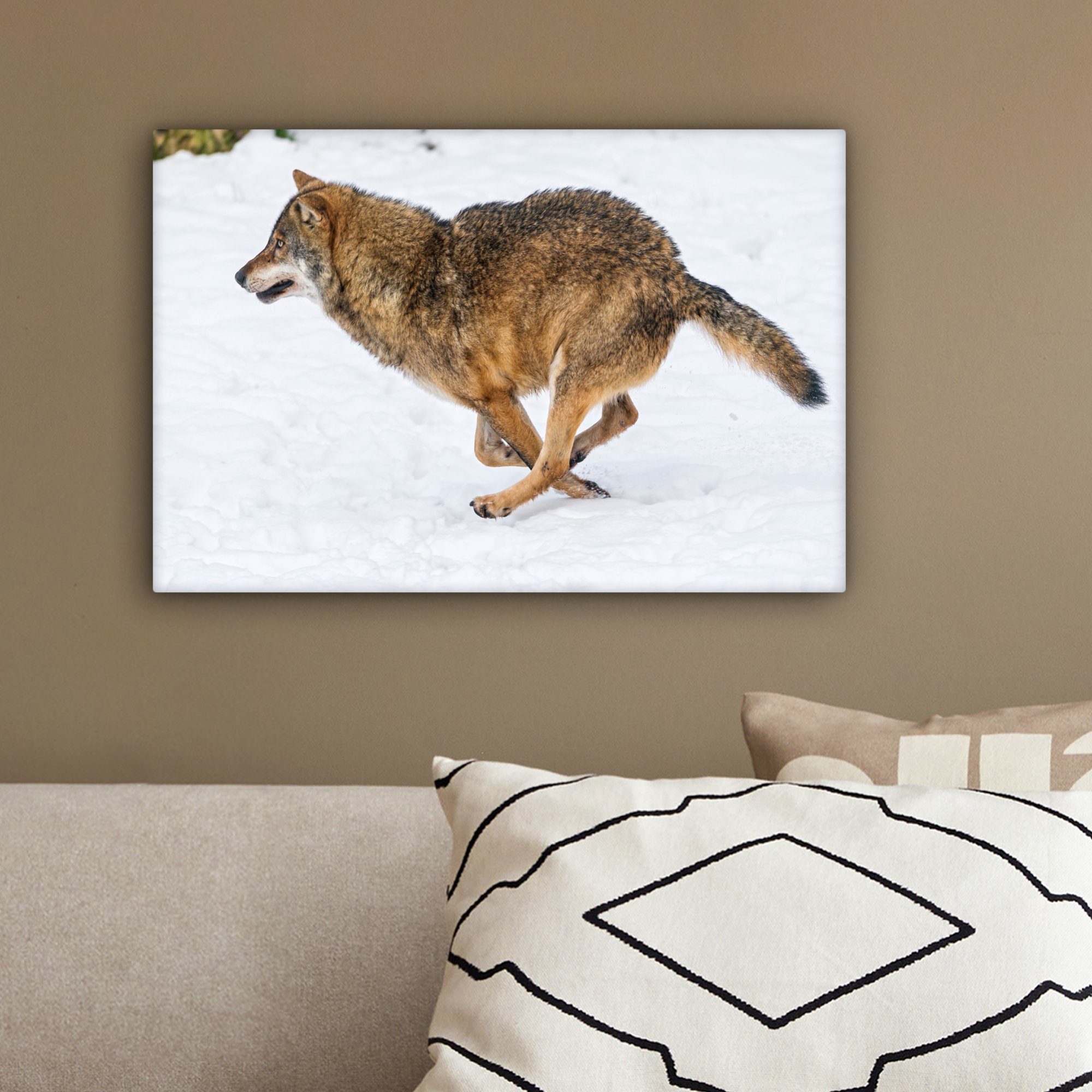 OneMillionCanvasses® Wanddeko, - Aufhängefertig, Schnee (1 Leinwandbilder, Wolf Wandbild Kälte, - 30x20 St), cm Leinwandbild