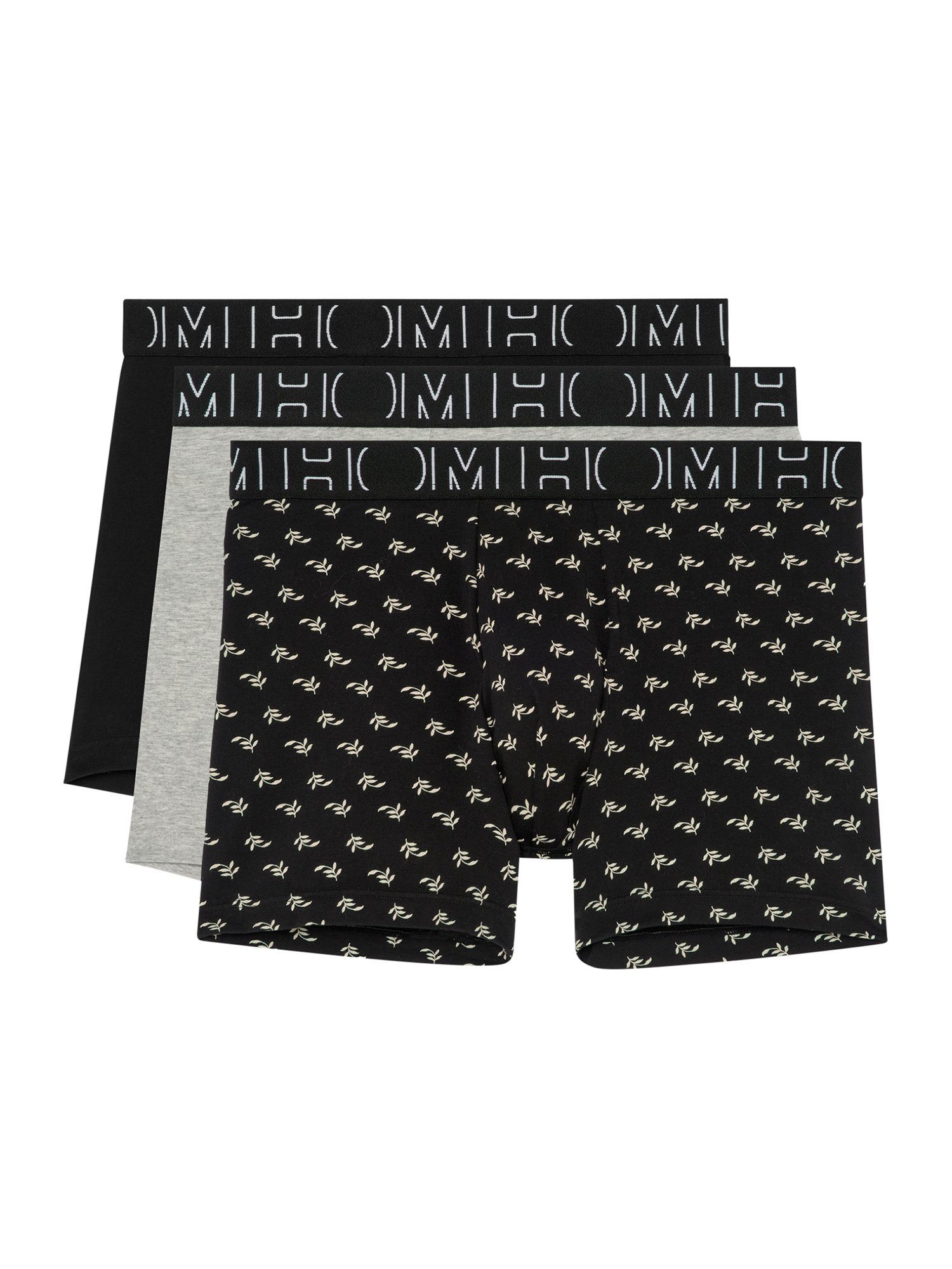 Langer Boxer Rayan no. 2