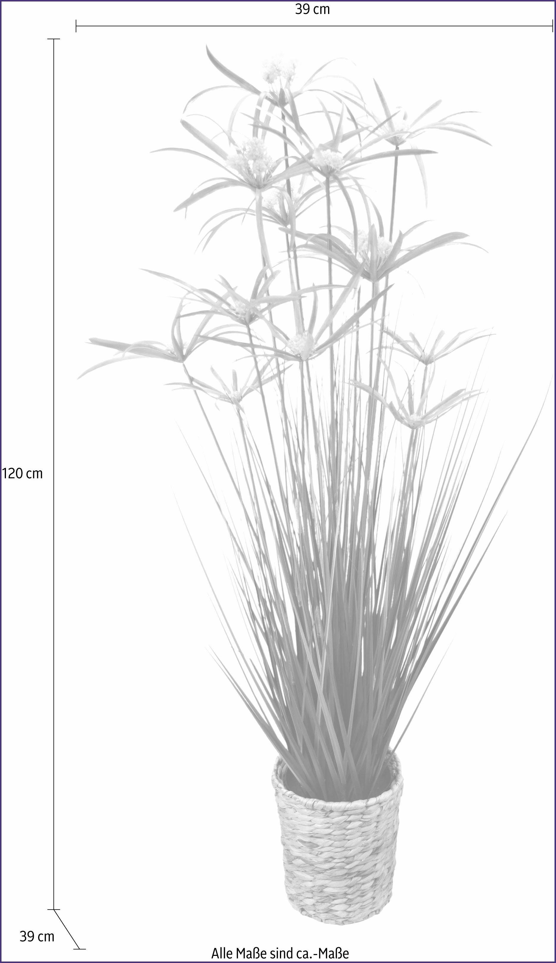 Kunstpflanze Zyperngras in Wasserhyazinthentopf Zyperngras, I.GE.A., Höhe  120 cm