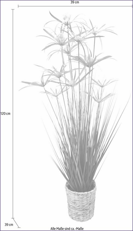 Kunstpflanze Zyperngras in Wasserhyazinthentopf Zyperngras, I.GE.A., Höhe  120 cm