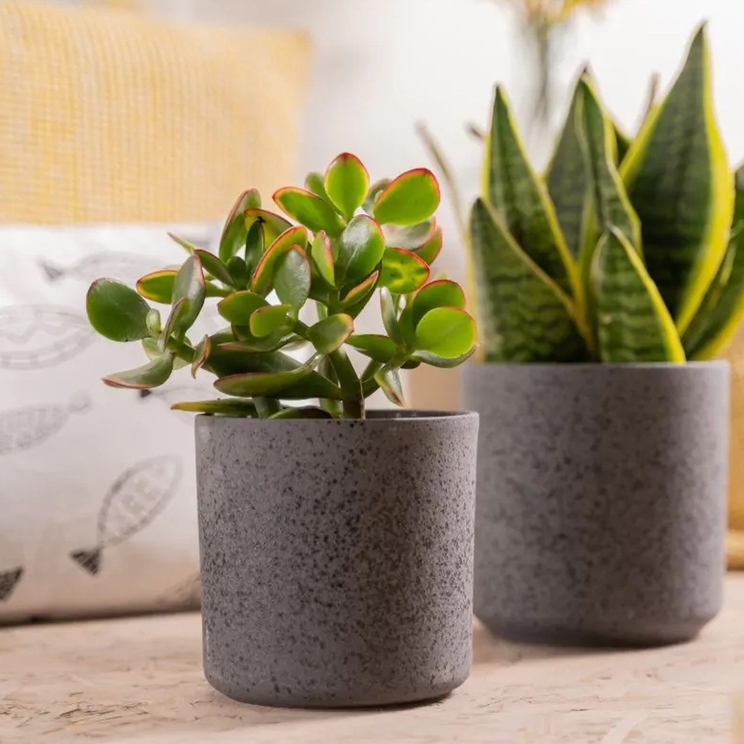 Hakbijl Glass Blumentopf Keramiktöpfe, Farbe: Schwarz, Motiv: Gesprenkelt günstig online kaufen