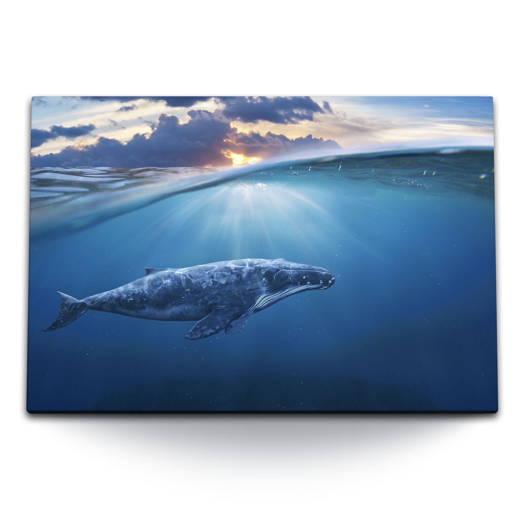 Sinus Art Leinwandbild 120x80cm Wandbild auf Leinwand Grauwal Wal unter Wasser Blau Ozean Son, (1 St)