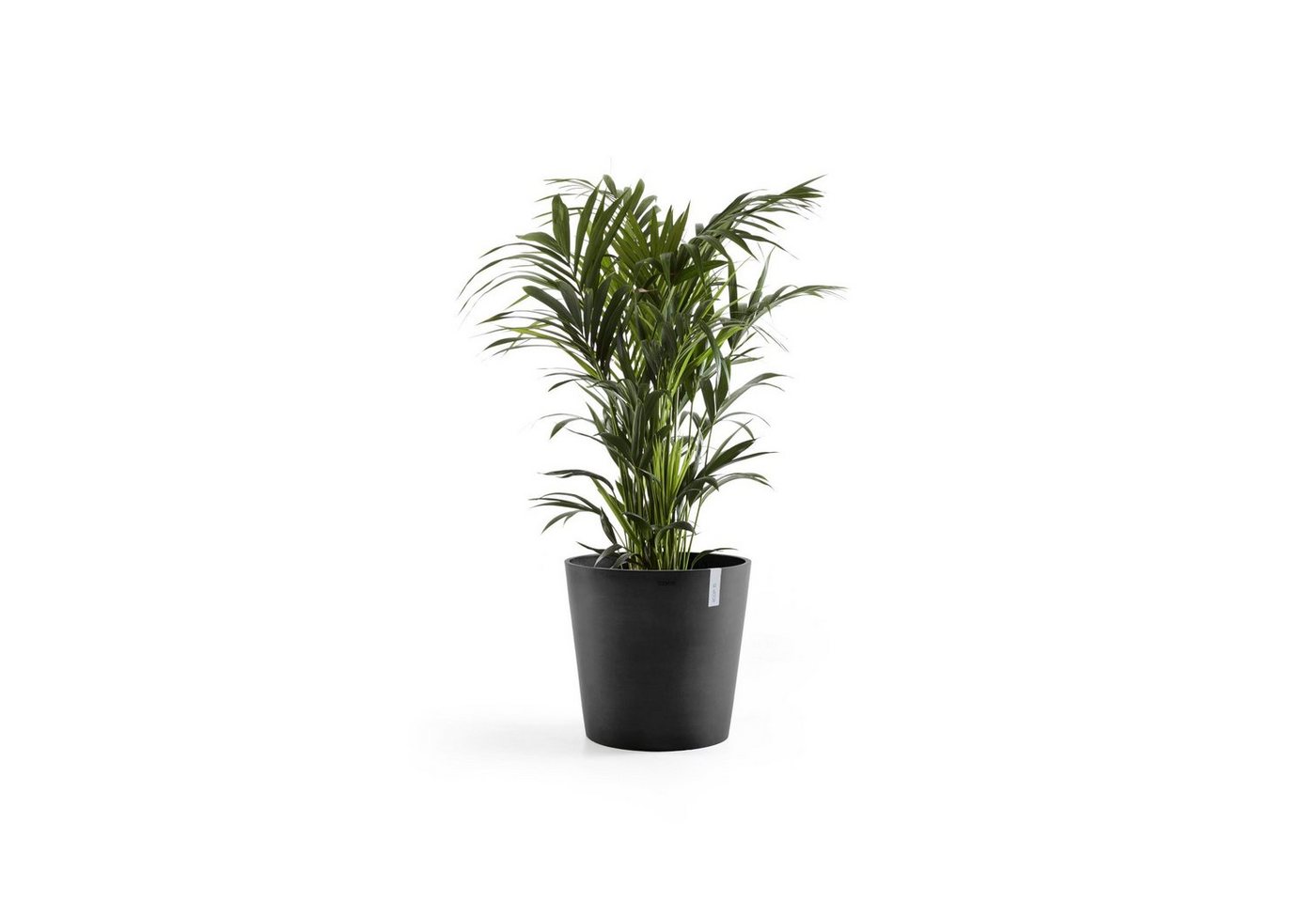 Thumbnail - ECOPOTS Blumentopf Amsterdam, ØxH: 50x43,8 cm