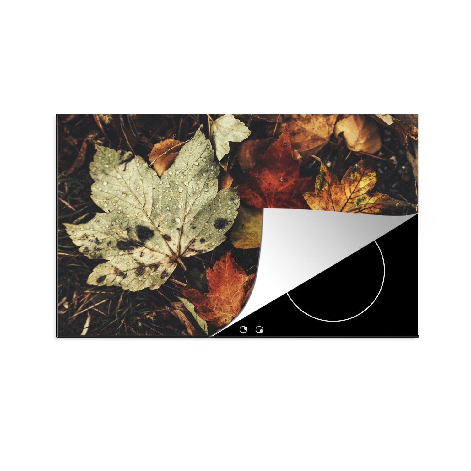 MuchoWow Herdblende-/Abdeckplatte Herbstblätter - Herbst - Jahreszeiten - Natur, Vinyl, (1 tlg), 80x52 cm, Induktionskochfeld Schutz für die küche, Ceranfeldabdeckung