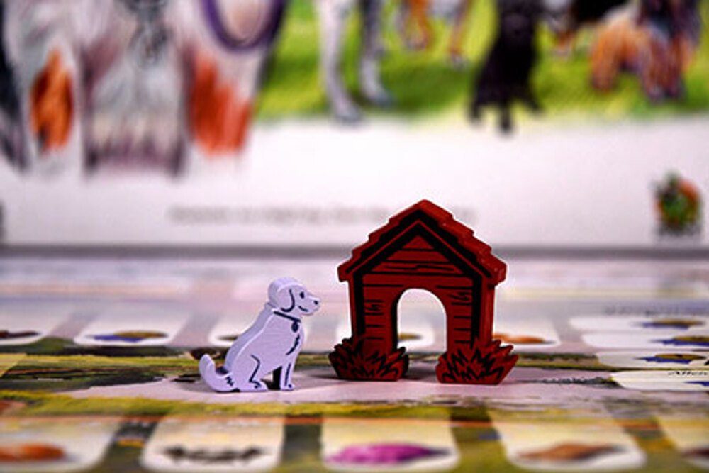 Kobold Spieleverlag Spiel Dog Park: Ein Hund ist nie genug!