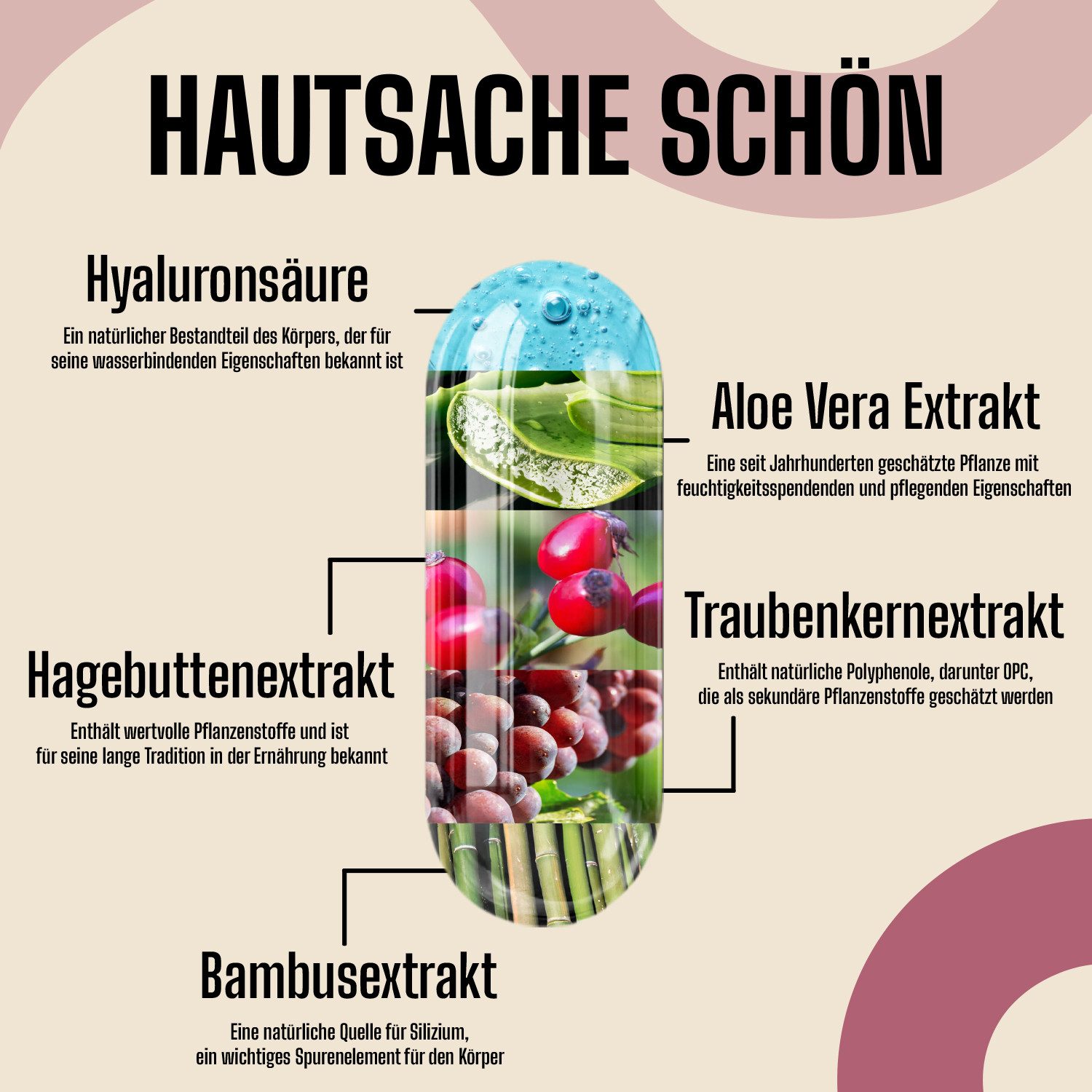 FSA NUTRITION Hyaluronsäure Kapseln hochdosiert 500 mg mit Vitamin C, Aloe Vera Kapseln, 60 St., 32 g