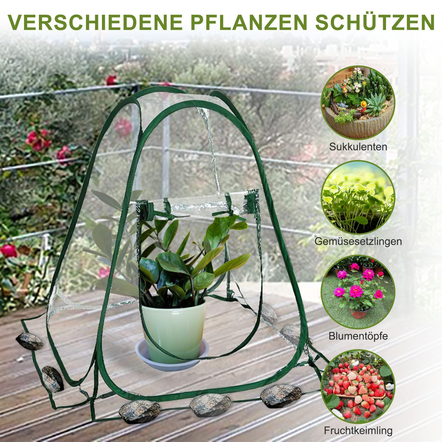 HEYHIPPO Gewächshaus 70x70x80cm Pop-up Mini Anzucht gewächshaus Zelt Pflanzenschutzhülle, Geeignet für den Innen- und Außenbereich wie Balkon oder Garten, Trans – Bild 4 von 5