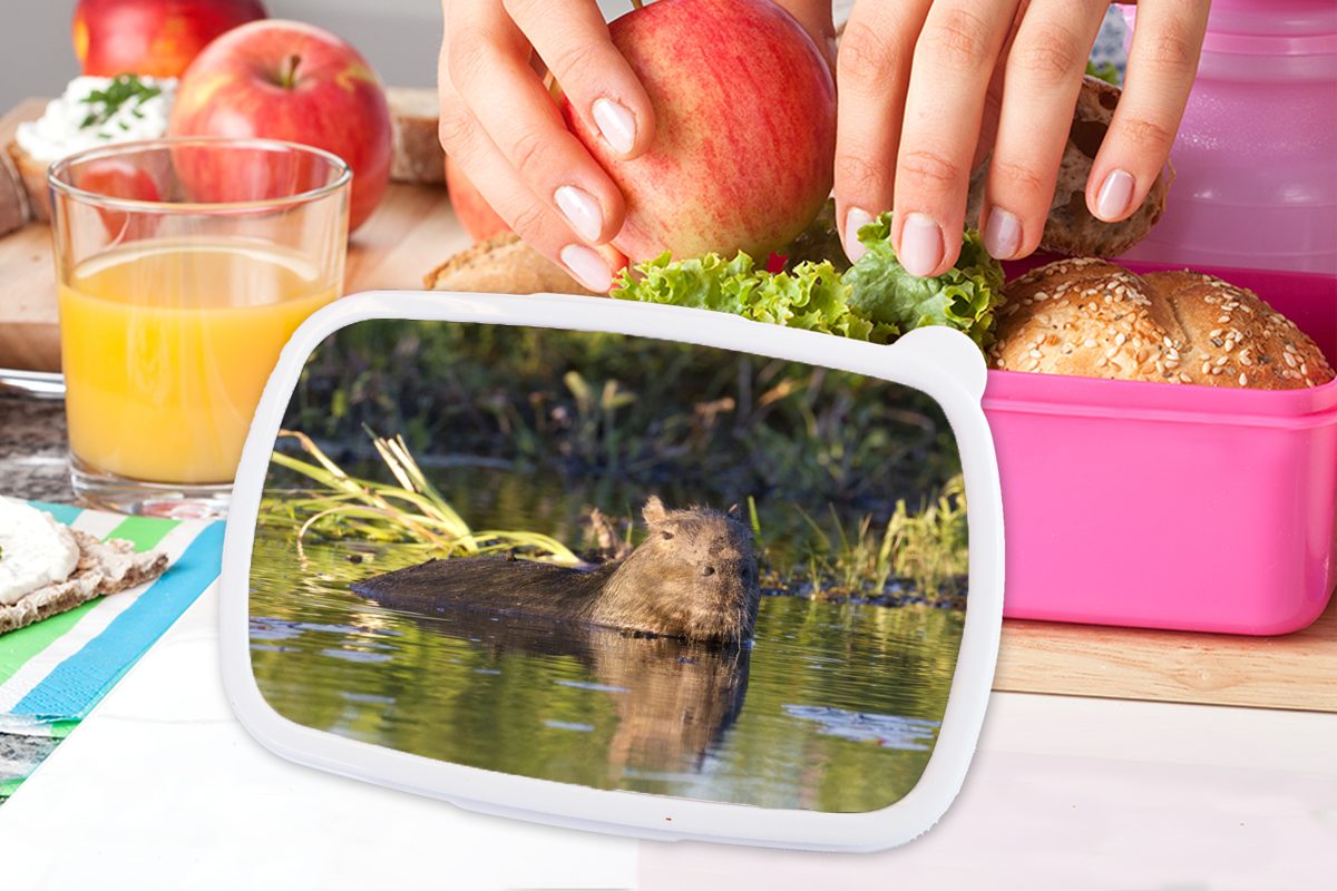 MuchoWow rosa Snackbox, im Kunststoff, Mädchen, Kunststoff Brotbox Brotdose Erwachsene, Capybara Kinder, für (2-tlg), Lunchbox Wasser,