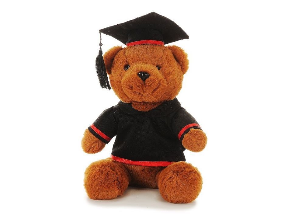 Euro Souvenirs Kuscheltier Teddybär Akademiker beige 28 cm mit Hut und Hemd